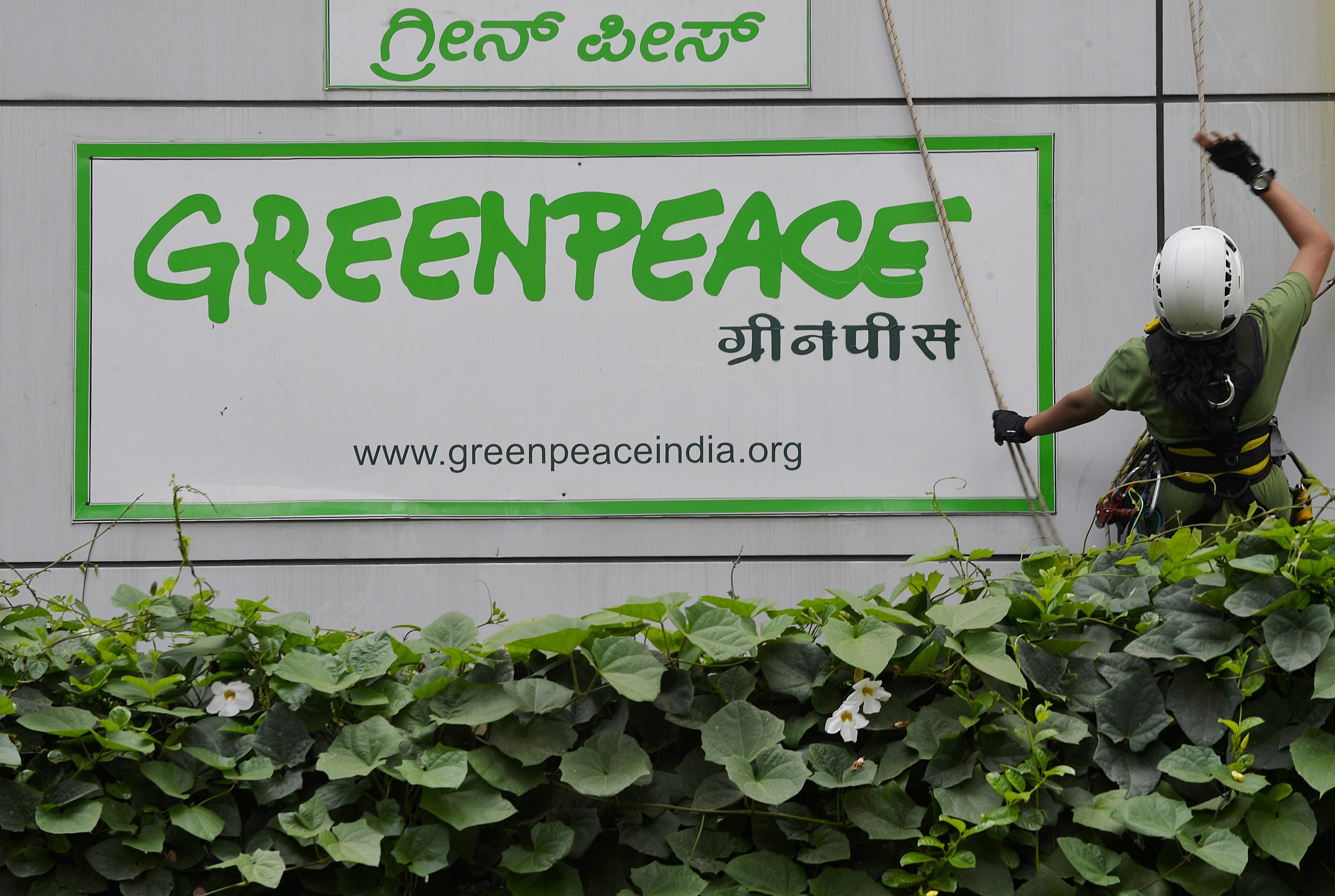 Activists of GreenPeace rappell down the office building where they are headquartered to unfurl banners 'democracy' and 'freespeech' in Bangalore on May 15, 2015. (MANJUNATH KIRAN—AFP/Getty Images)