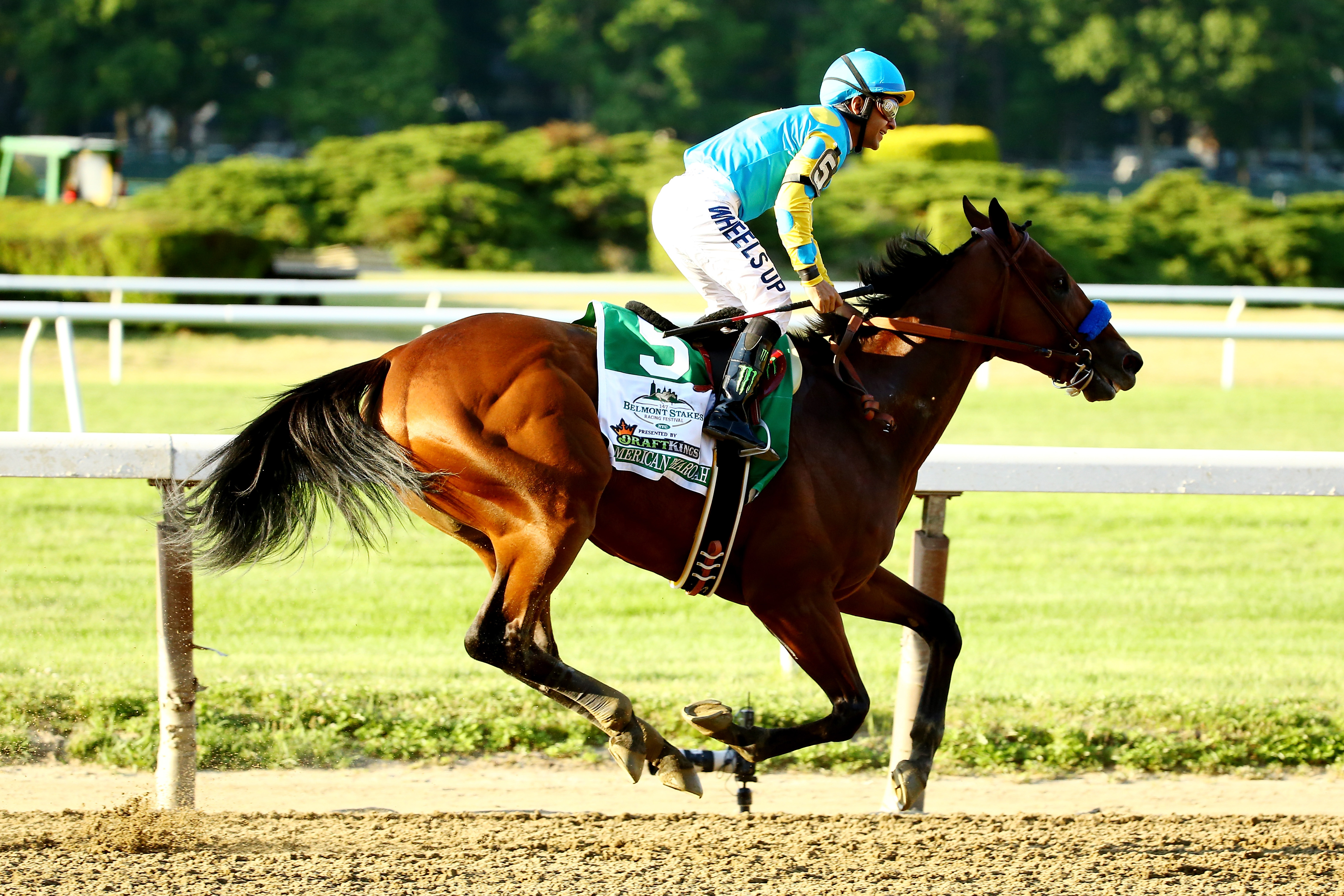 American Pharoah becomes the first horse to win the Triple Crown in 37 years. (Al Bello&mdash;Getty Images)