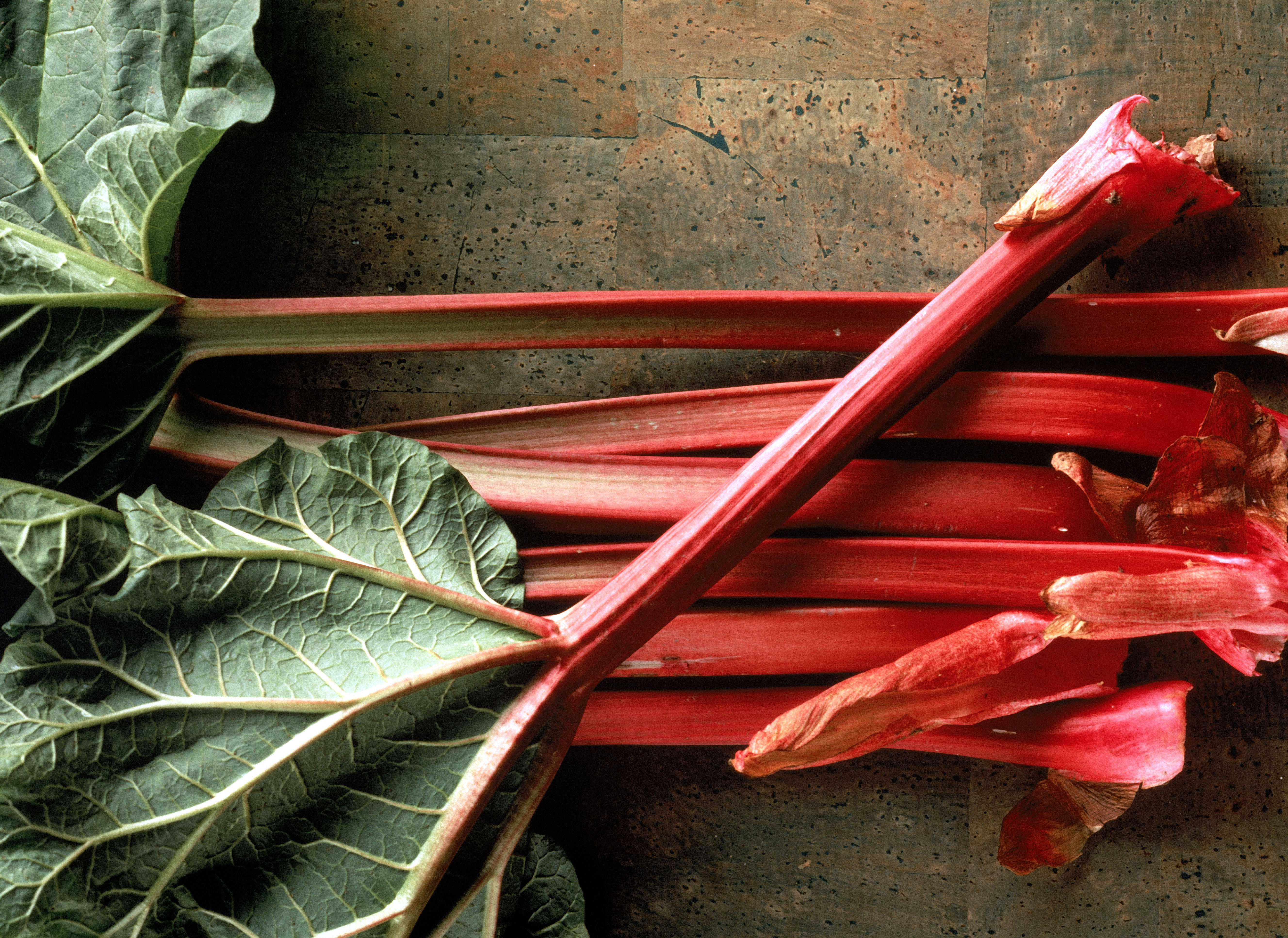 Rhubarb can begin to appear in the Spring, but it can have a long summer season in some states. Remember to only eat the stalks and not the leaves, which are poisonous.