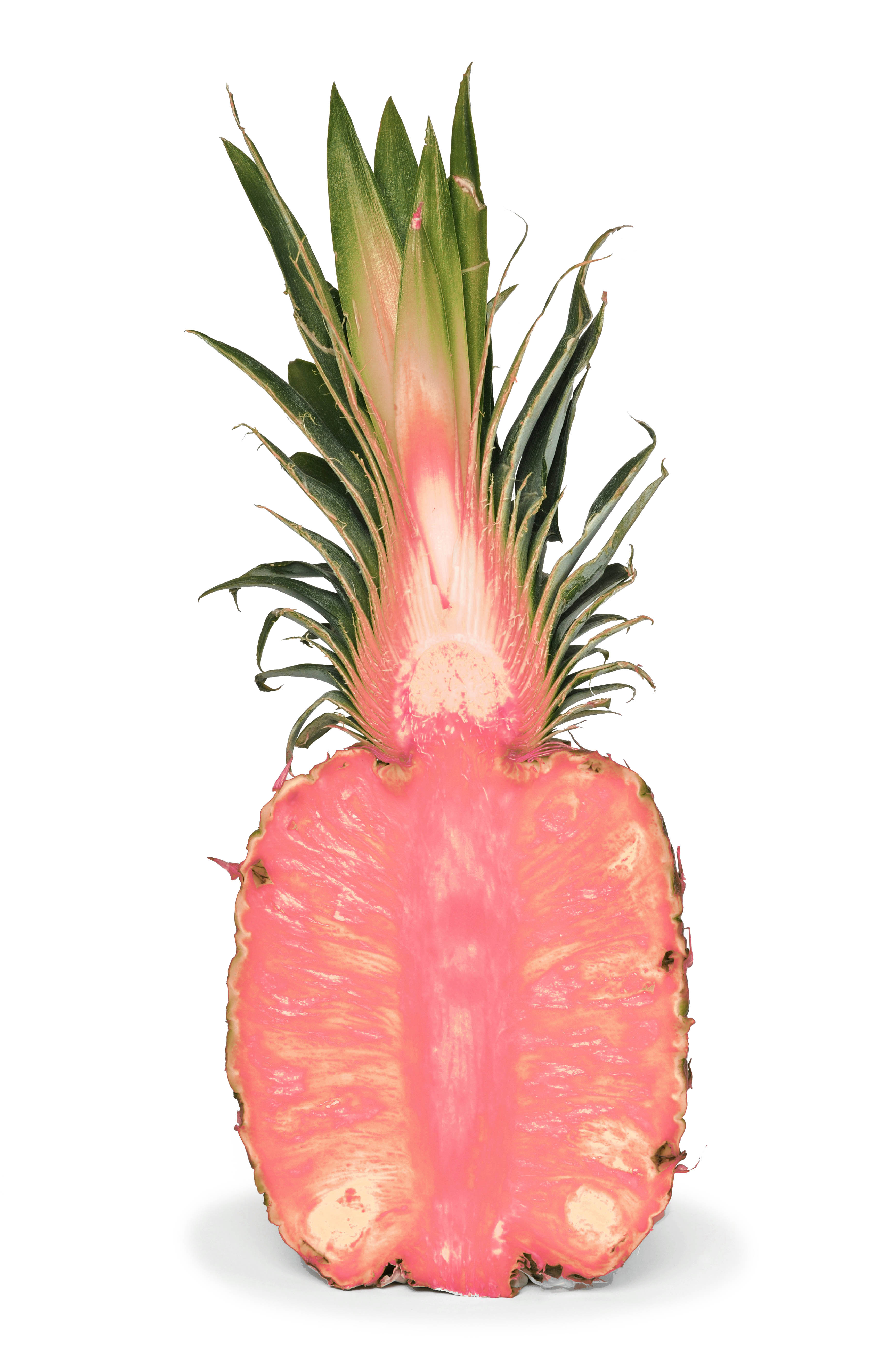 This photo-illustration depicts what we imagine the pink pineapple will look like if it makes it onto store shelves. (Photo-illustration by Jen Tse for TIME; Pineapple: Getty Images)