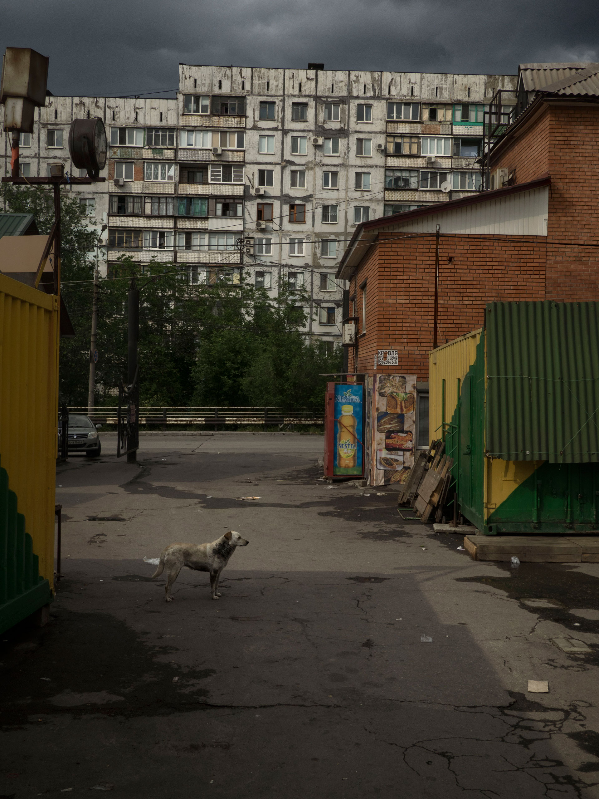 A view of the downtown area. Mariupol, Ukraine. May 31, 2015.