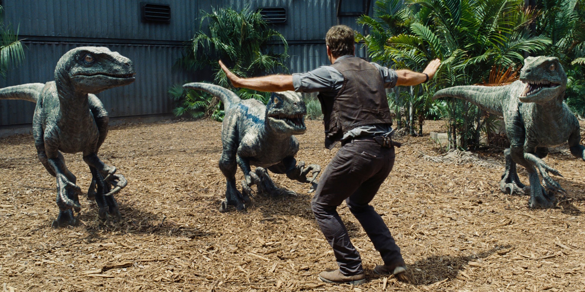 Chris Pratt as Owen in a scene from Universal Pictures' Jurassic World.
