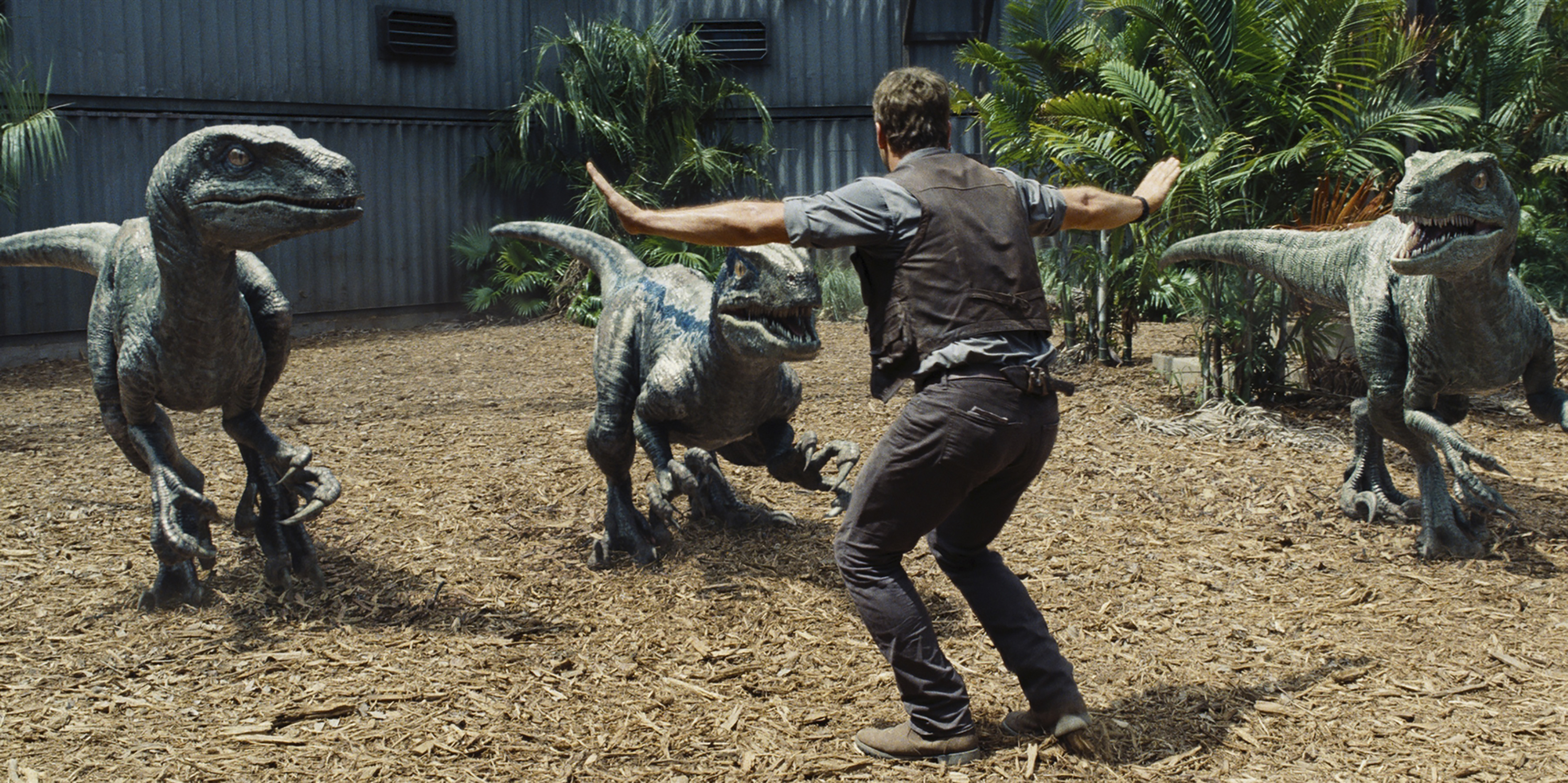 Chris Pratt as Owen in a scene from Universal Pictures' Jurassic World. (Universal)