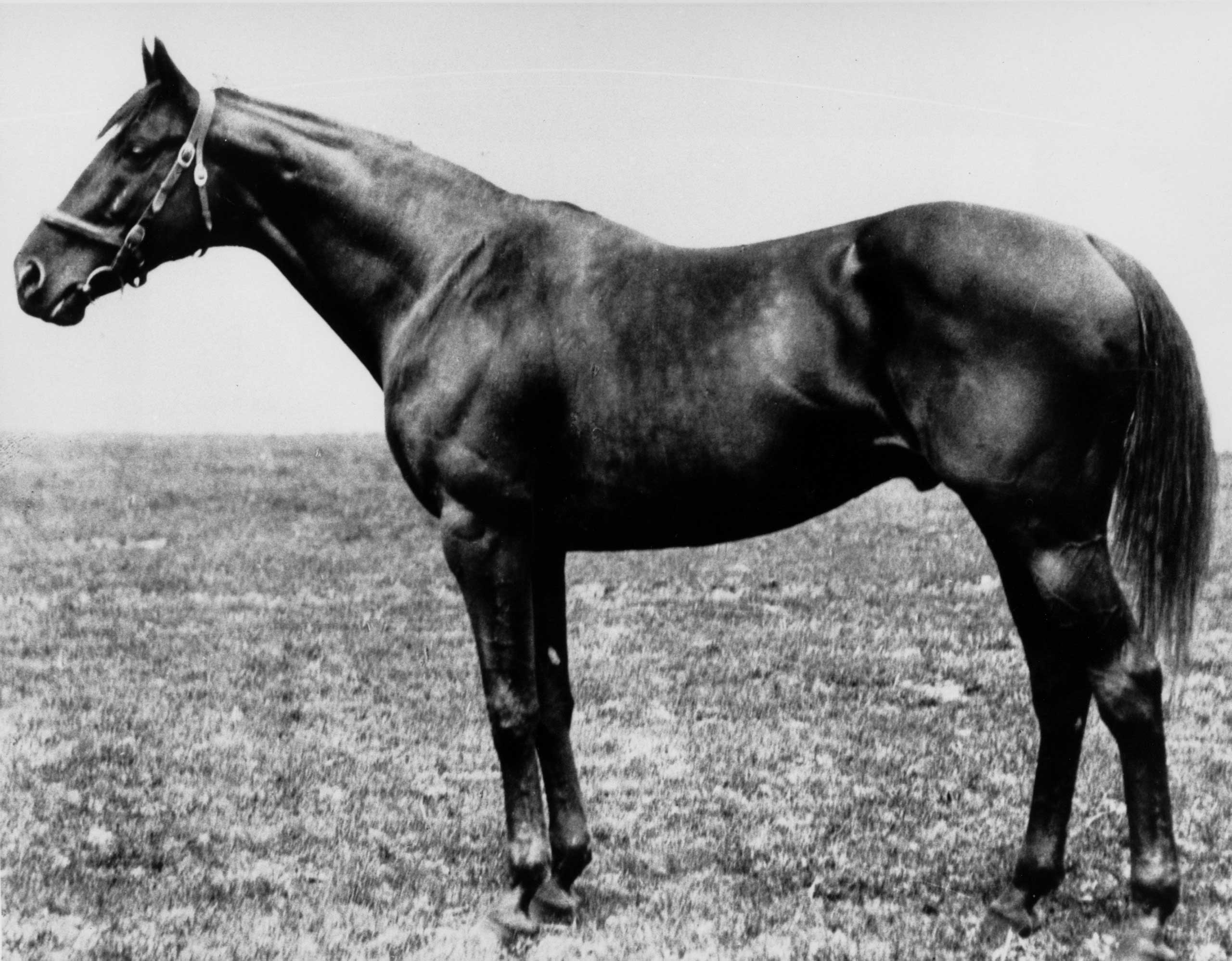 1919: Sir Barton, the first winner of the Triple Crown