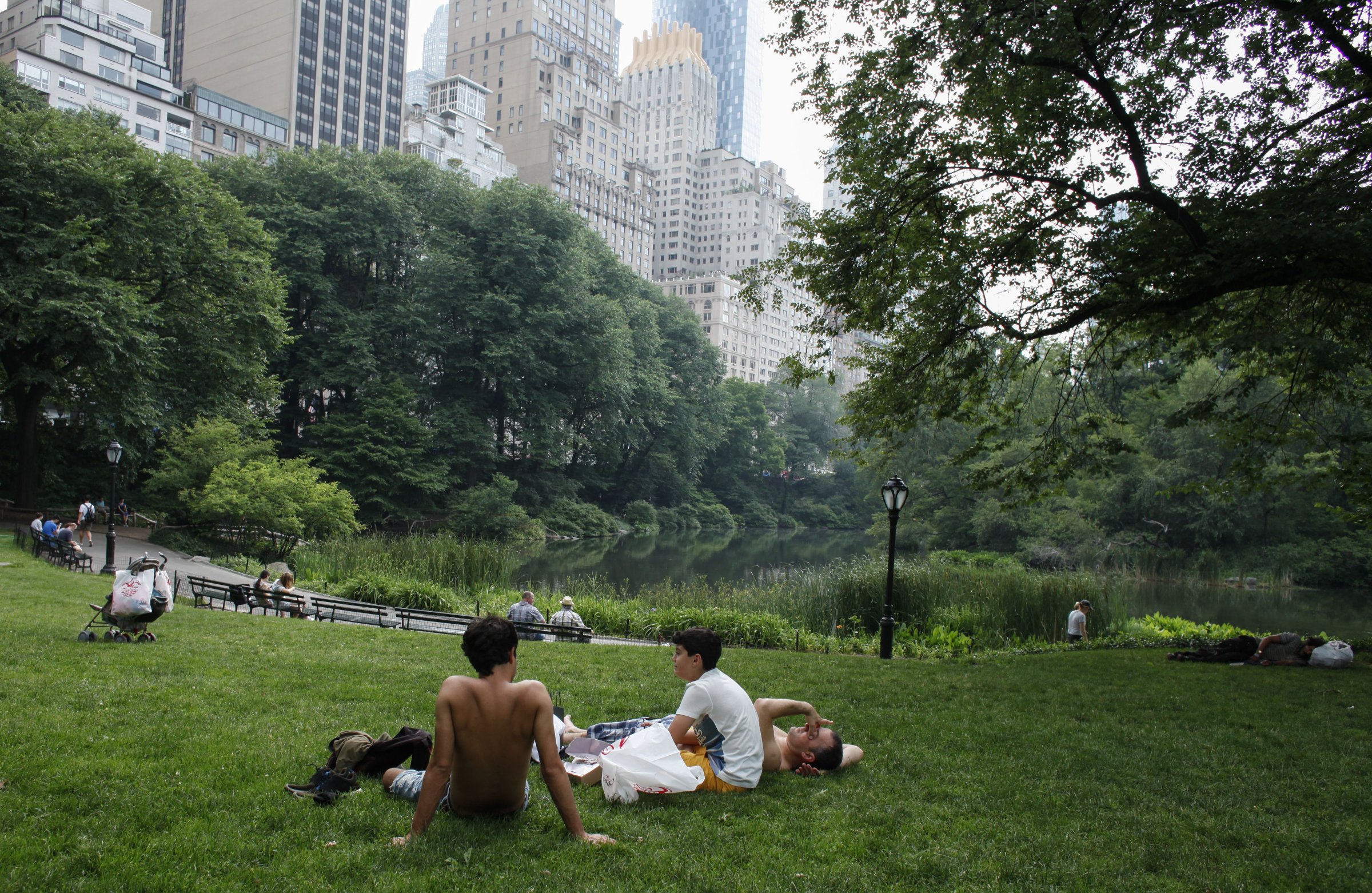 People gather in in Central Park as temperatures in Manhattan hit 90 degrees F (32C) for the first time in 2015, in New York City on June 11, 2015.