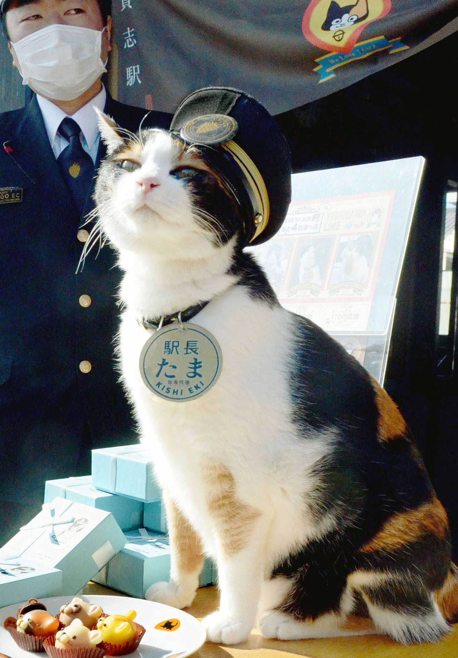 Cat stationmaster Tama, superstar in western Japan, dies