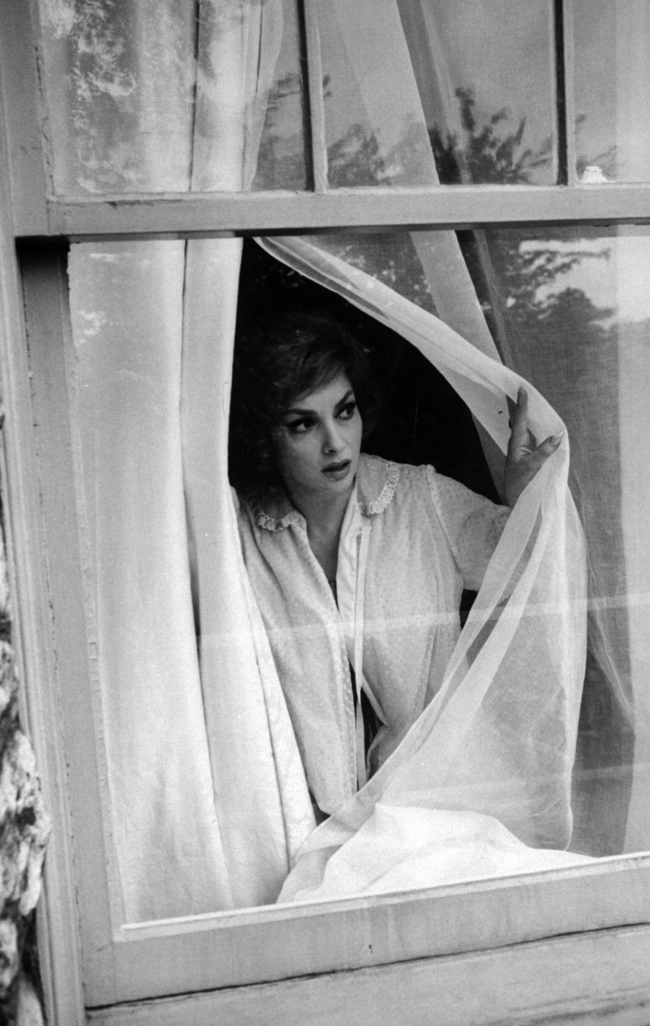 Gina Lollobrigida 1960