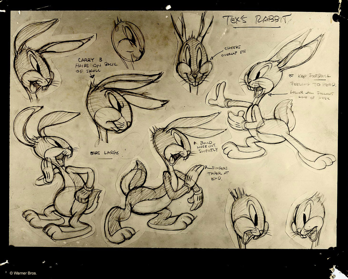 Photostat of a Tex Avery model sheet of Bugs Bunny.