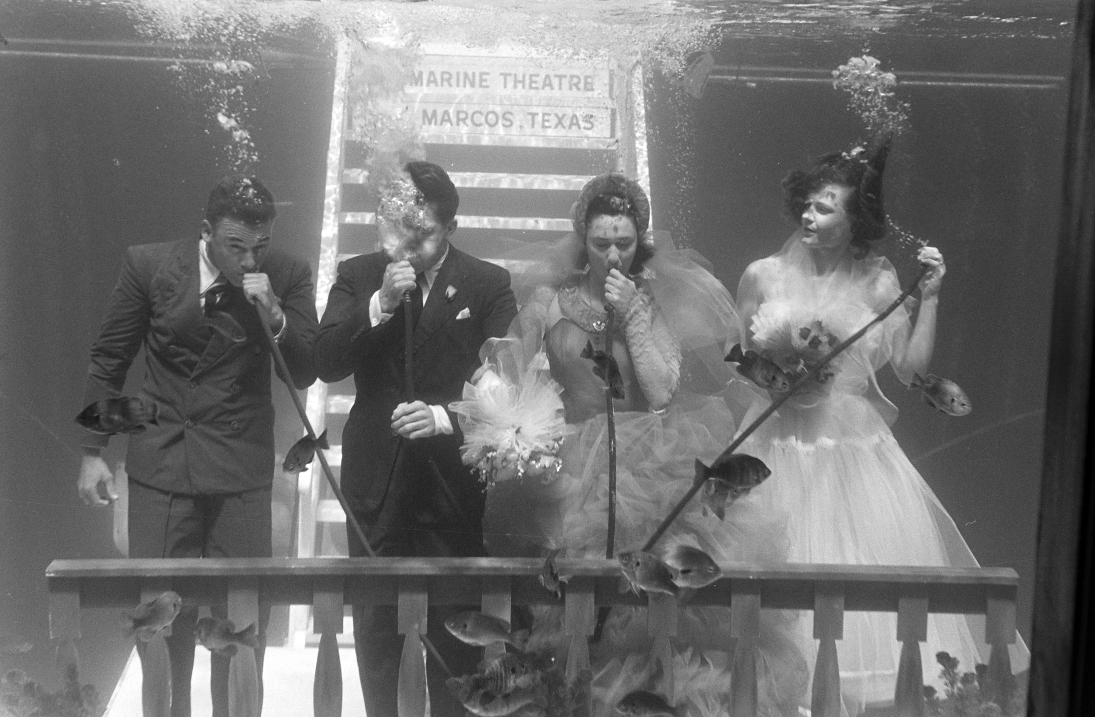 The wedding party during a rehearsal ceremony.