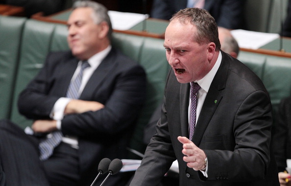 Australian Minister for Agriculture Barnaby Joyce during the house of representatives Question Time on June 17, 2014 (Stefan Postles—Getty Images)