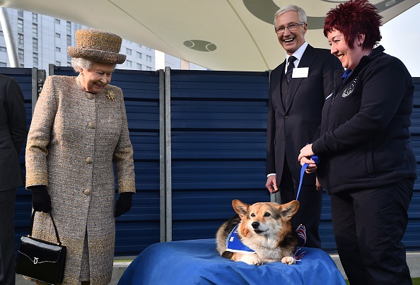 Britain's Queen Elizabeth II looks at a Corgi dog as British television presenter Paul O'Grady looks on during a visit to Battersea Dogs and Cats Home in London on March 17, 2015 (Ben Stansall—AFP/Getty Images)