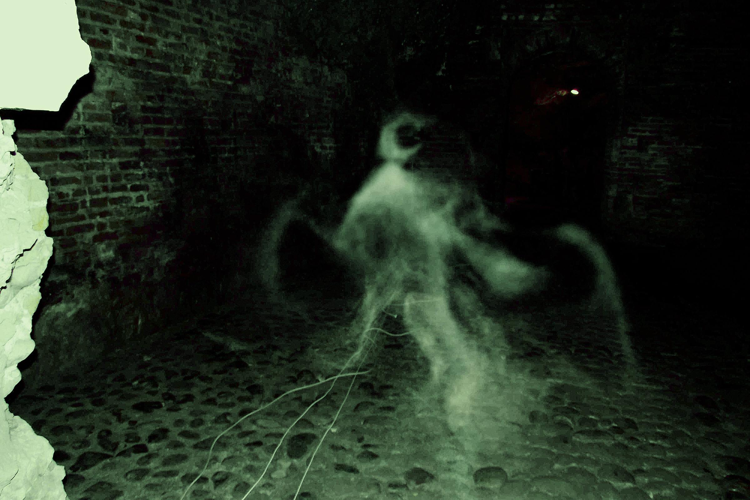 barbara-leolini-echoes-ghosts