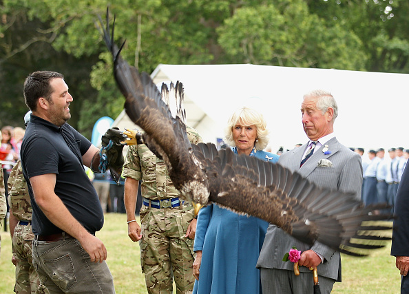Prince Charles, Prince of Wales and Camilla, Duchess of Cornwall react as Zephyr (a bald eagle), the mascot of the Army Air Corps flaps his wings at Sandringham Flower Show on July 29, 2015, in King's Lynn, England. (Chris Jackson—Getty Images)