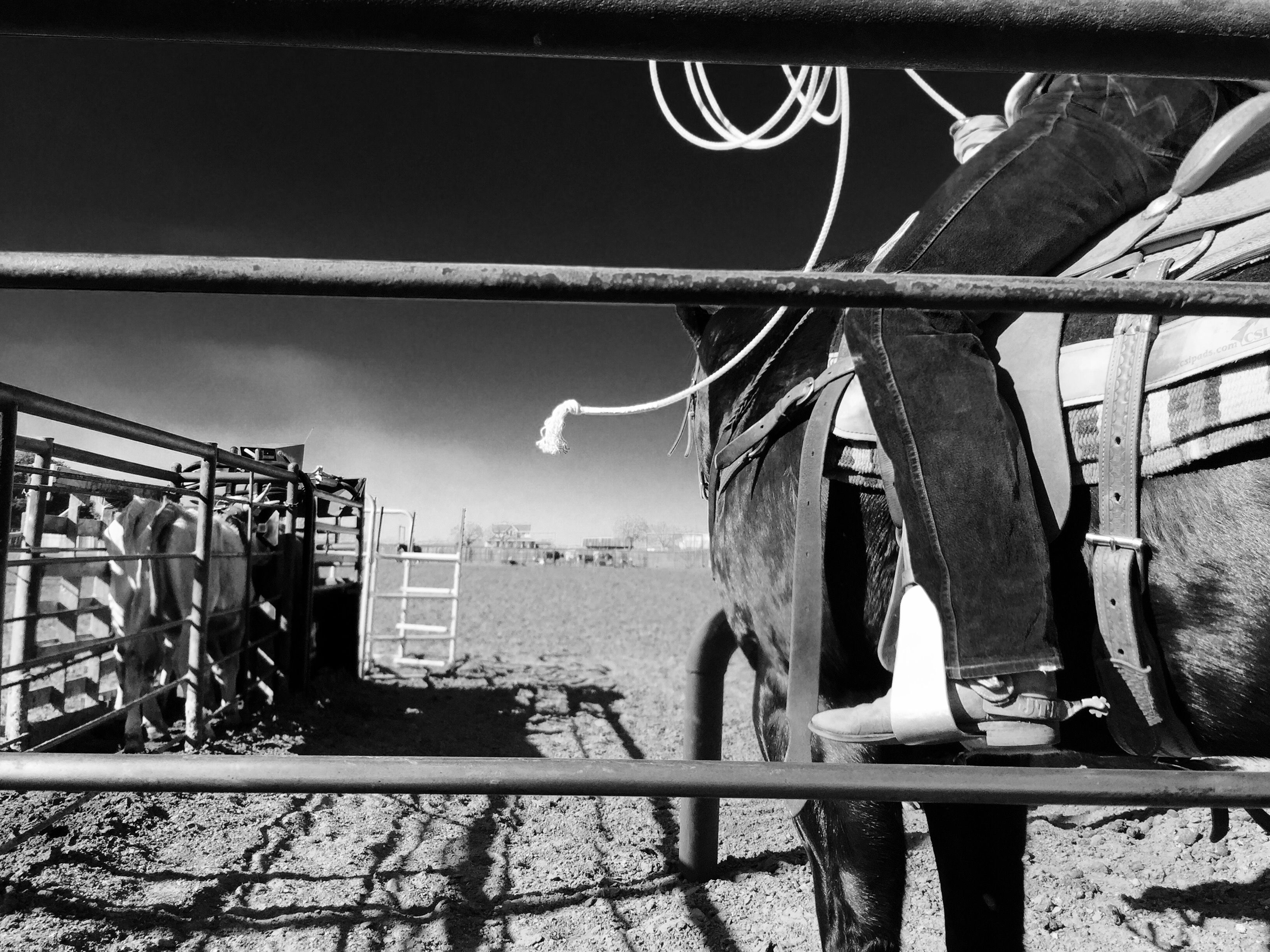 Texas cowboy on a Texas ranch. (Donovan Reese Photography&mdash;Getty Images)