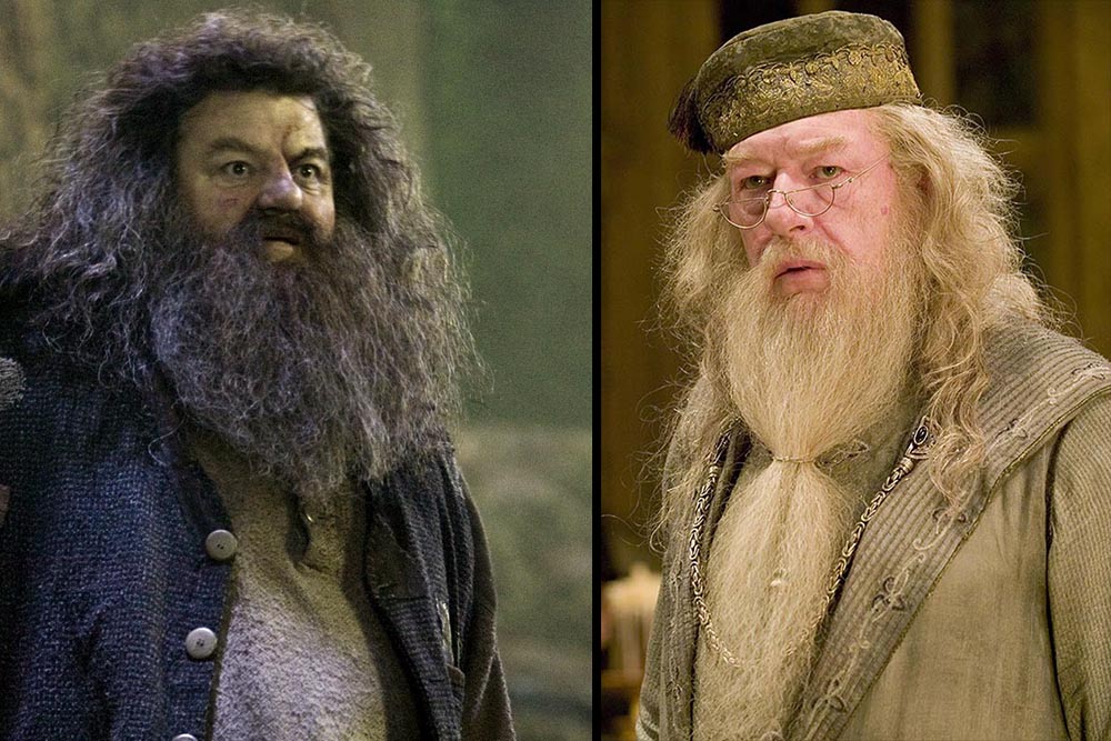 Hagrid Dumbledore Harry Potter