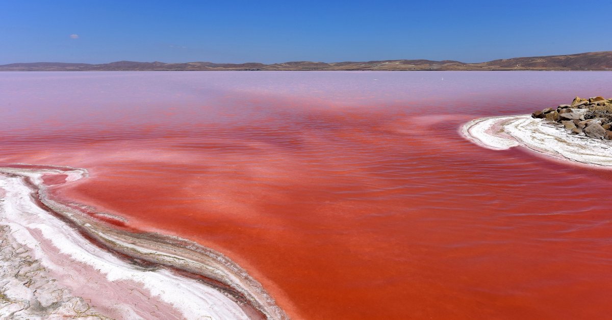Водоем который окрашивается в нежно розовый цвет. Dunaliella Salina озеро. Озеро туз Турция. Соленое озеро туз. Красное озеро Алтайский край.
