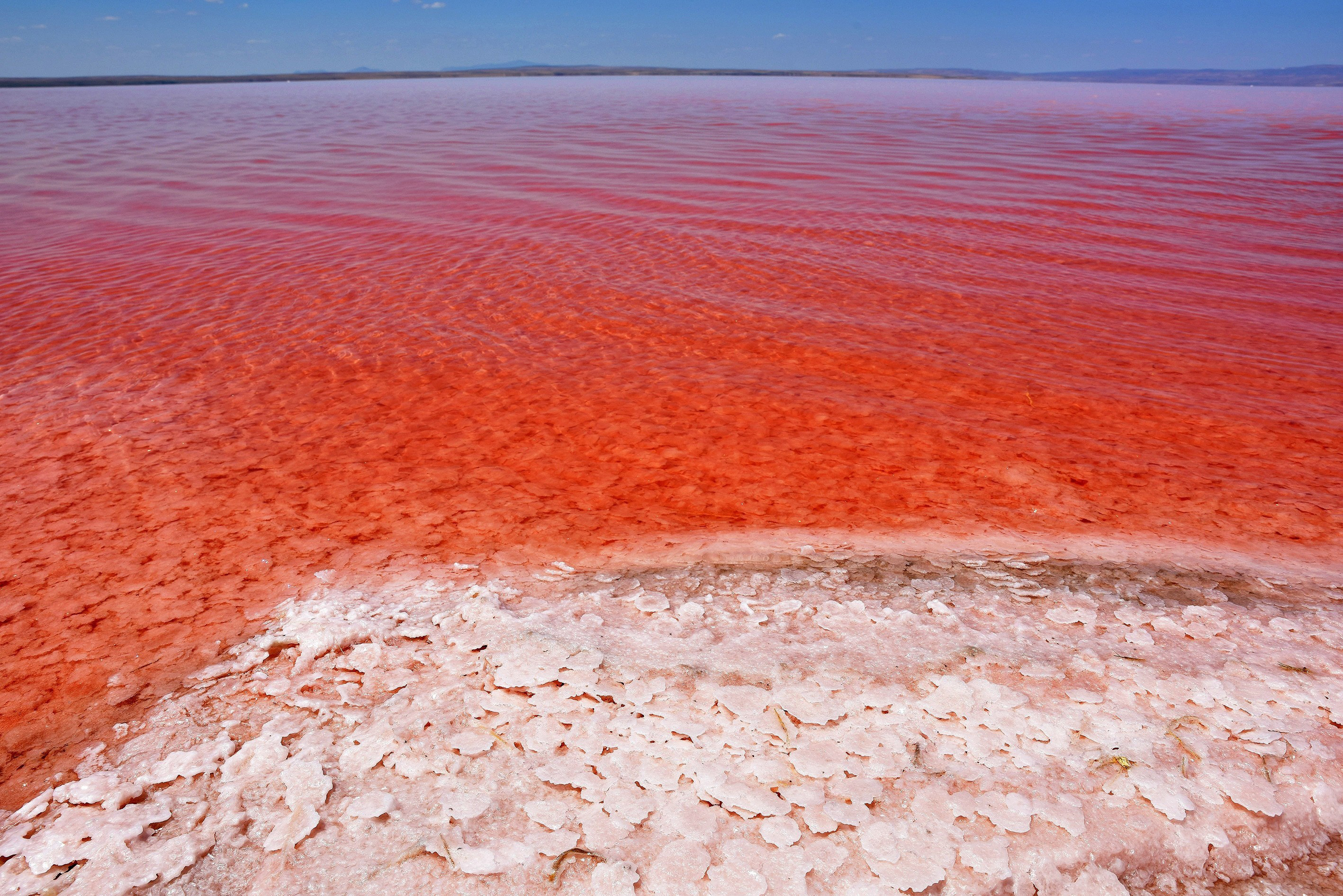 Du bliver bedre ordlyd Isolere Red Lake Turkey Algae Tuz Gola: See a Lake That Naturally Turned Red | Time