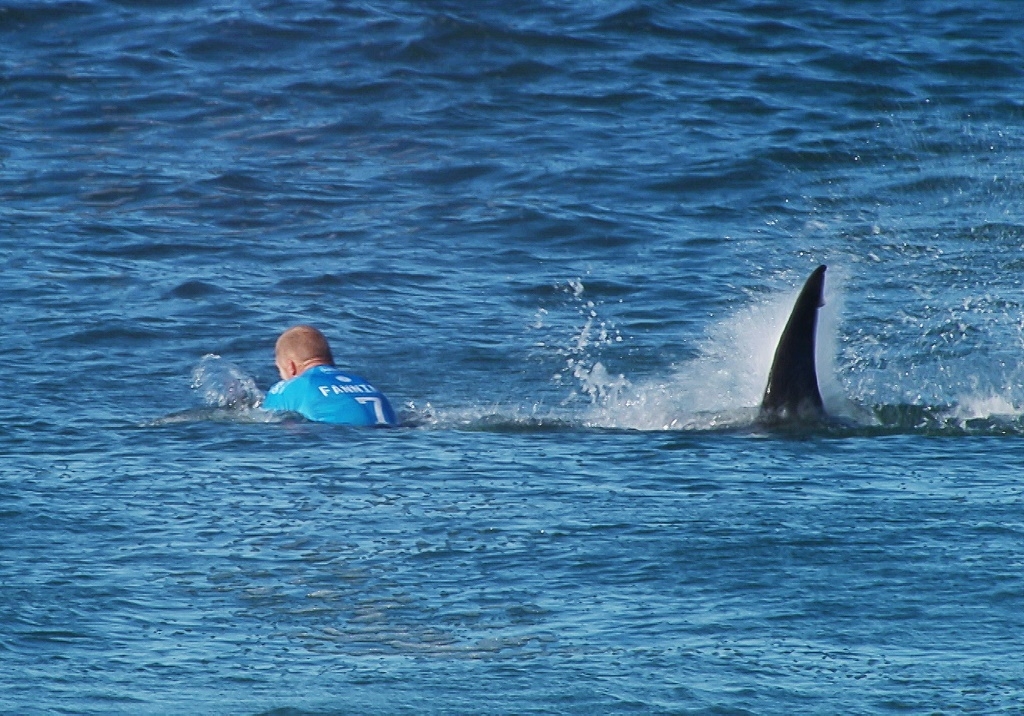 Australian surfer Mick Flanning is pursued by a shark, in Jeffrey's Bay, South Africa on July 19, 2015.