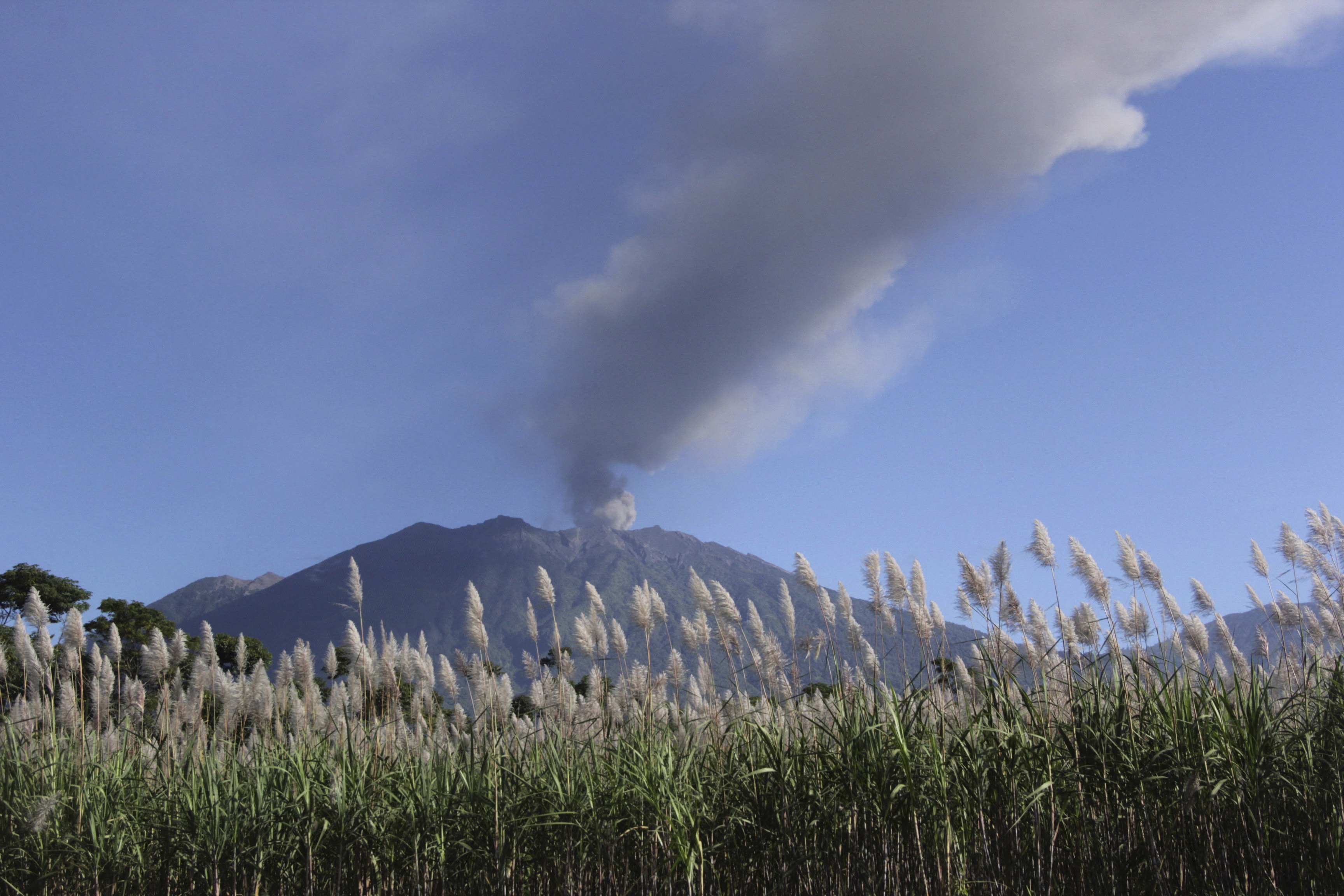Ash and smoke are emitted from the volcano Mount Raung seen from the village of Sumber Arum, near Banyuwangi, East Java province,  Indonesia on July 4, 2015.