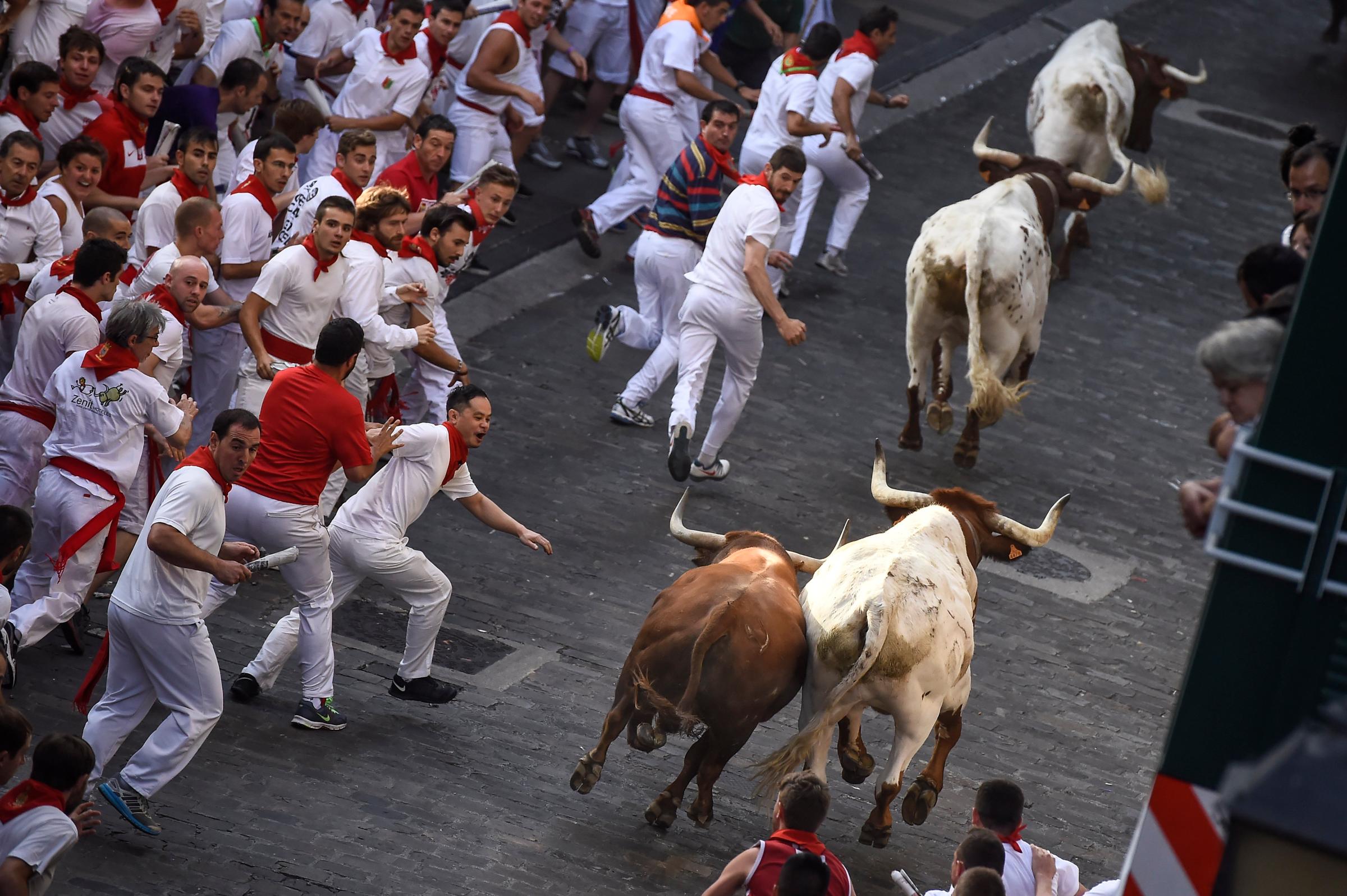 Spain San Fermin running bulls pamplona