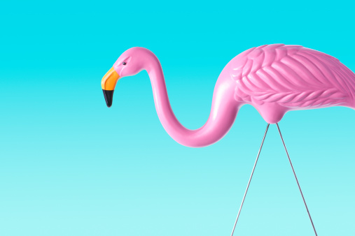 plastic-pink-flamingo