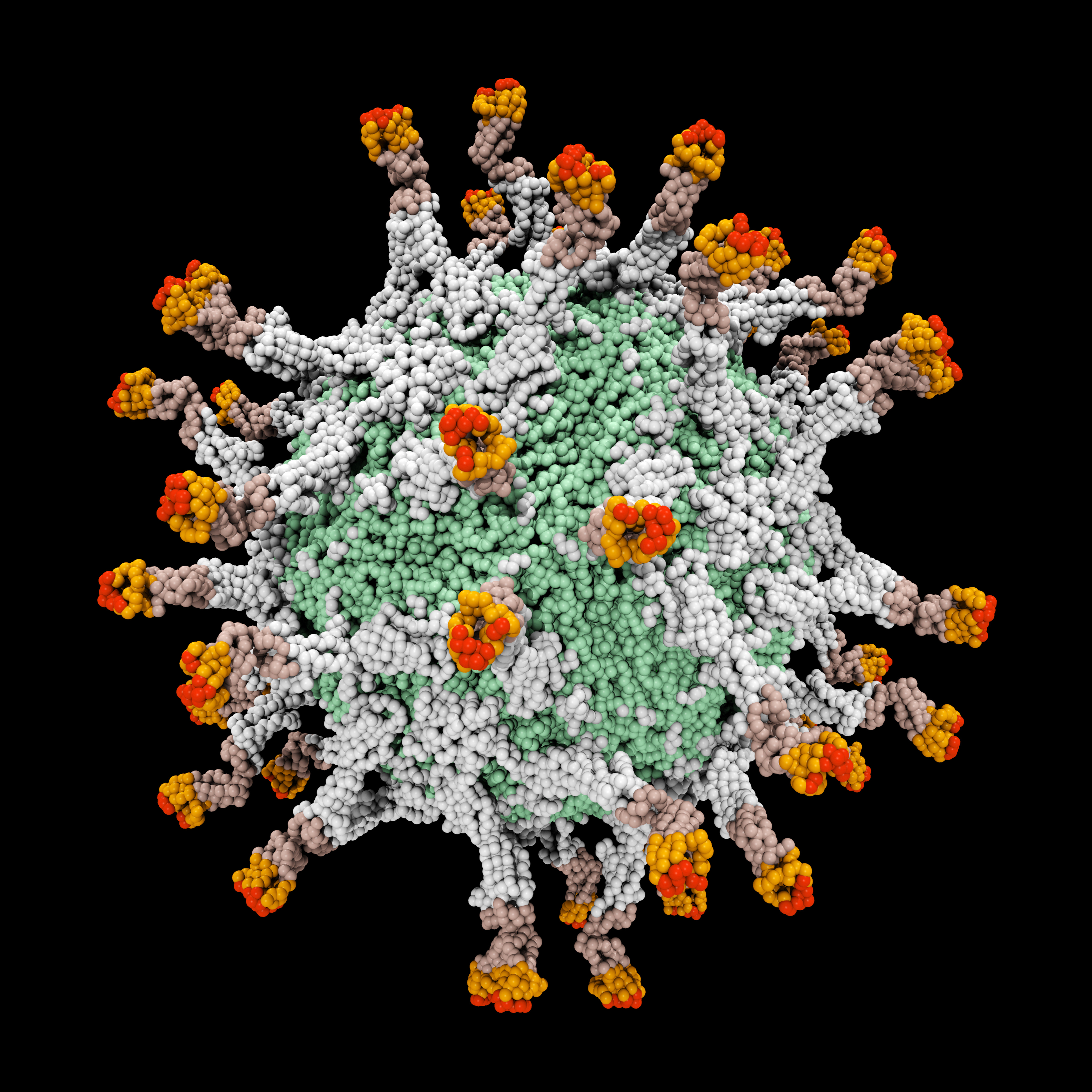 Goodbye to all that: Computer-generated model of a poliovirus