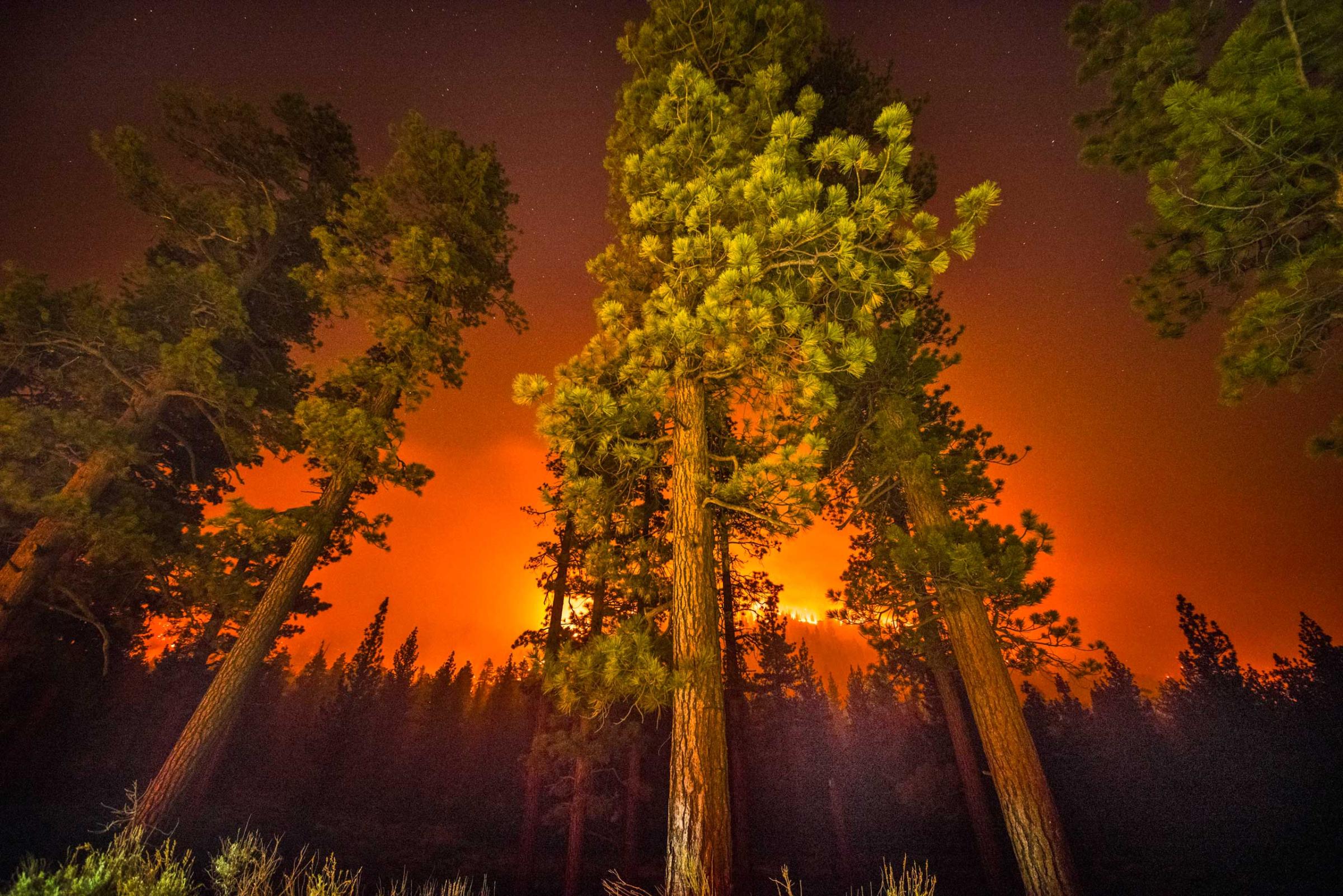 The Lake Fire burns in the San Bernardino National Forest Friday June 19, 2015. By evening the fire burned over 13,000 acres and was 10% contained.