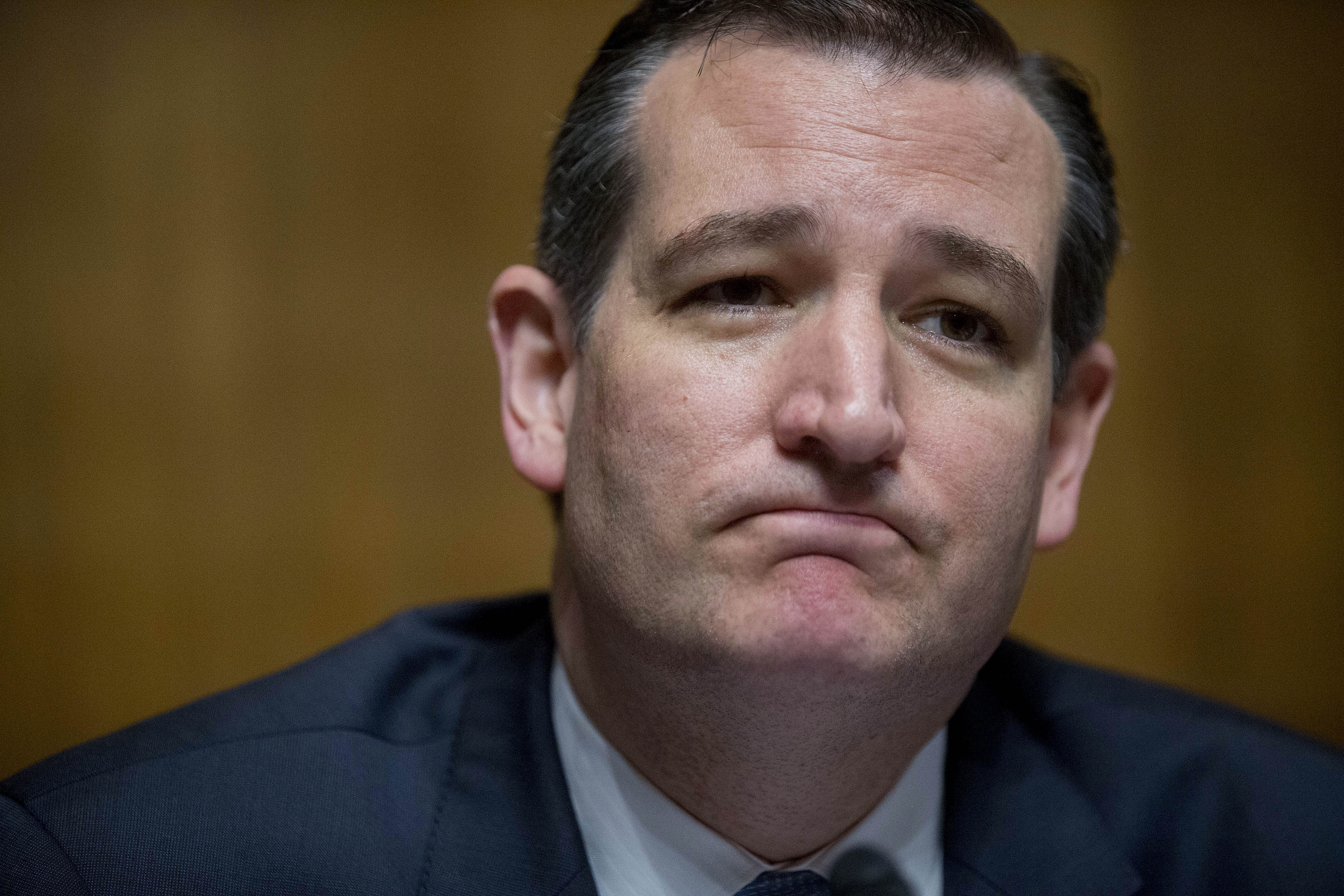 Senator Ted Cruz, a Republican from Texas, U.S. 2016 presidential candidate and chairman of the Senate Judiciary Subcommittee on oversight, agency action, federal rights and federal courts, pauses while speaking during a hearing in Washington, D.C., on June 4, 2015. (Andrew Harrer—Bloomberg)