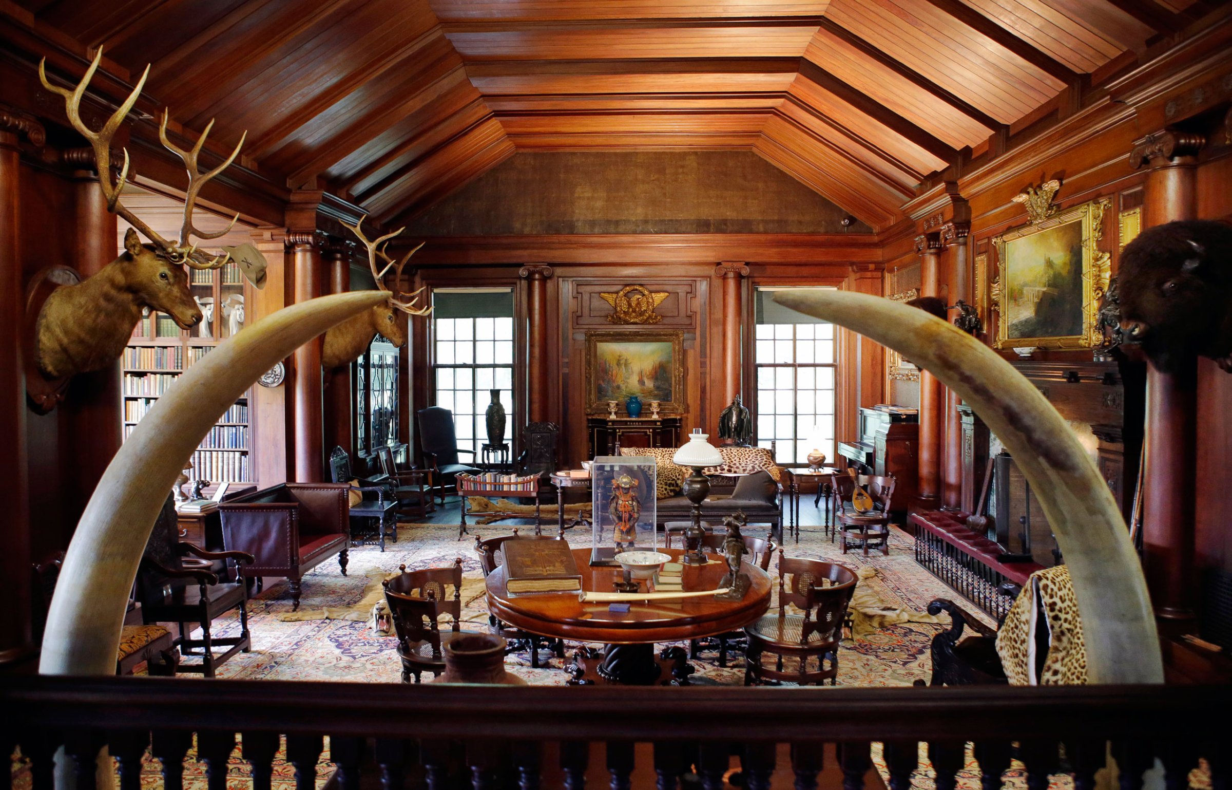 In this June 9, 2015, photo, elk and bison heads along with mementos President Theodore Roosevelt received adorn the North Room, the 26th president's "trophy room," at Sagamore Hill, his summer White House in Oyster Bay, N.Y. Sagamore Hill reopens July 12 after a $10 million, four-year renovation by the National Park Service. (AP Photo/Kathy Willens)