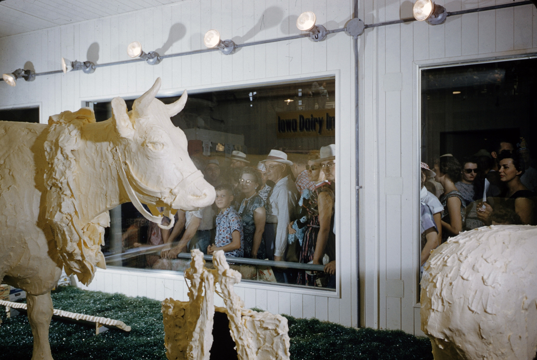 Iowa State Fair 1955