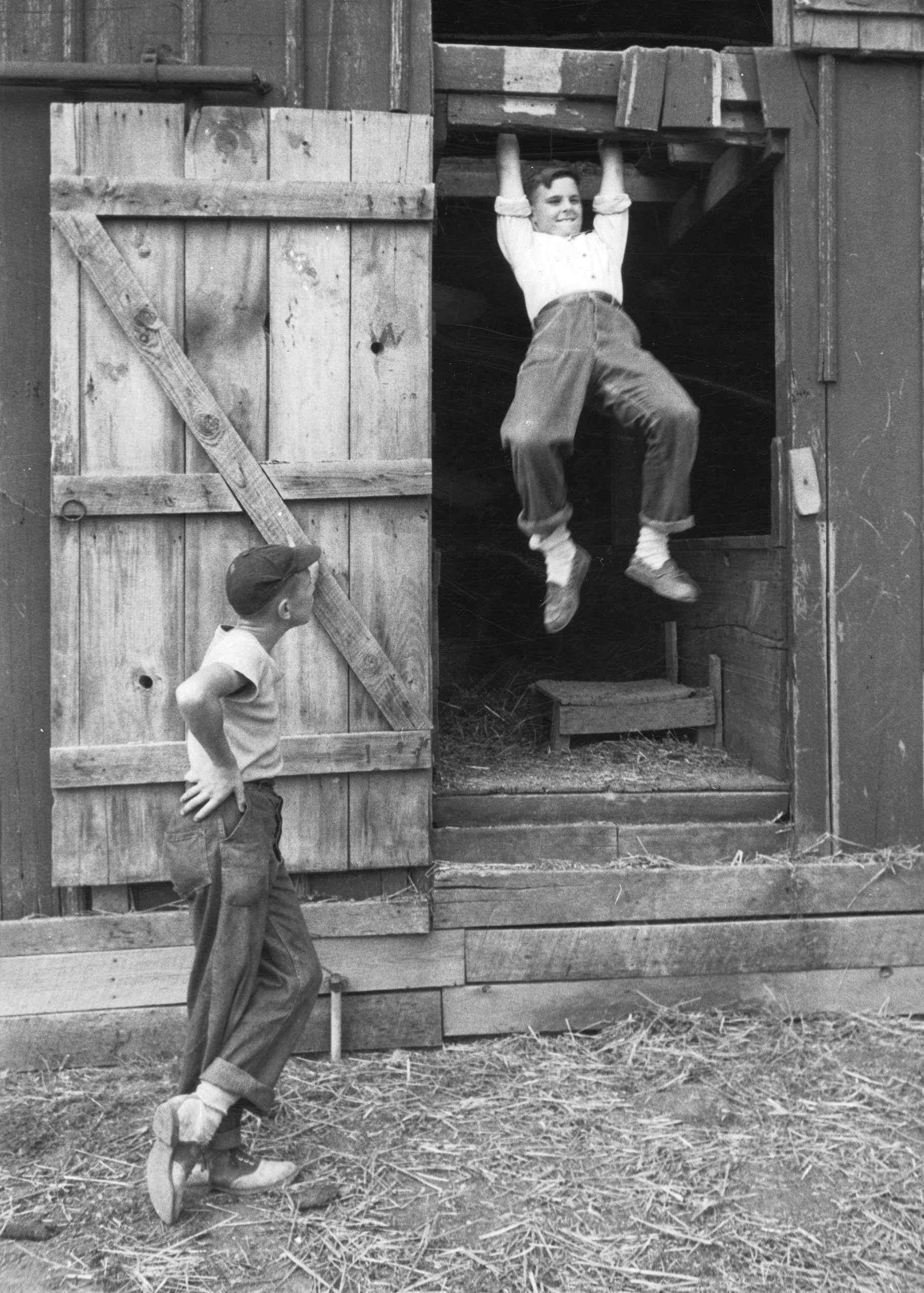 Mac swings down the hayloft of one of his father's barns. His father, a retired lawyer, owns seven farms, "five good ones, and two hick ones."