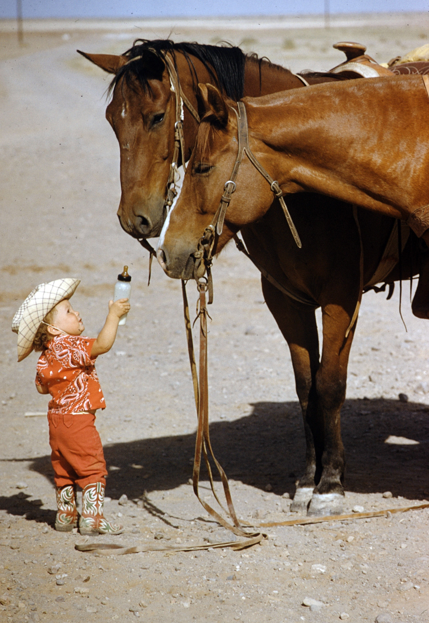 The Youngest Cowgirl in 1955
