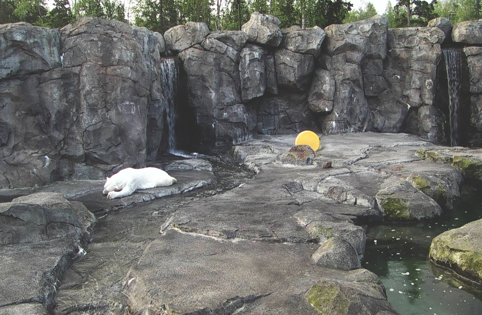 Alaska Zoo, June 19, 2015.