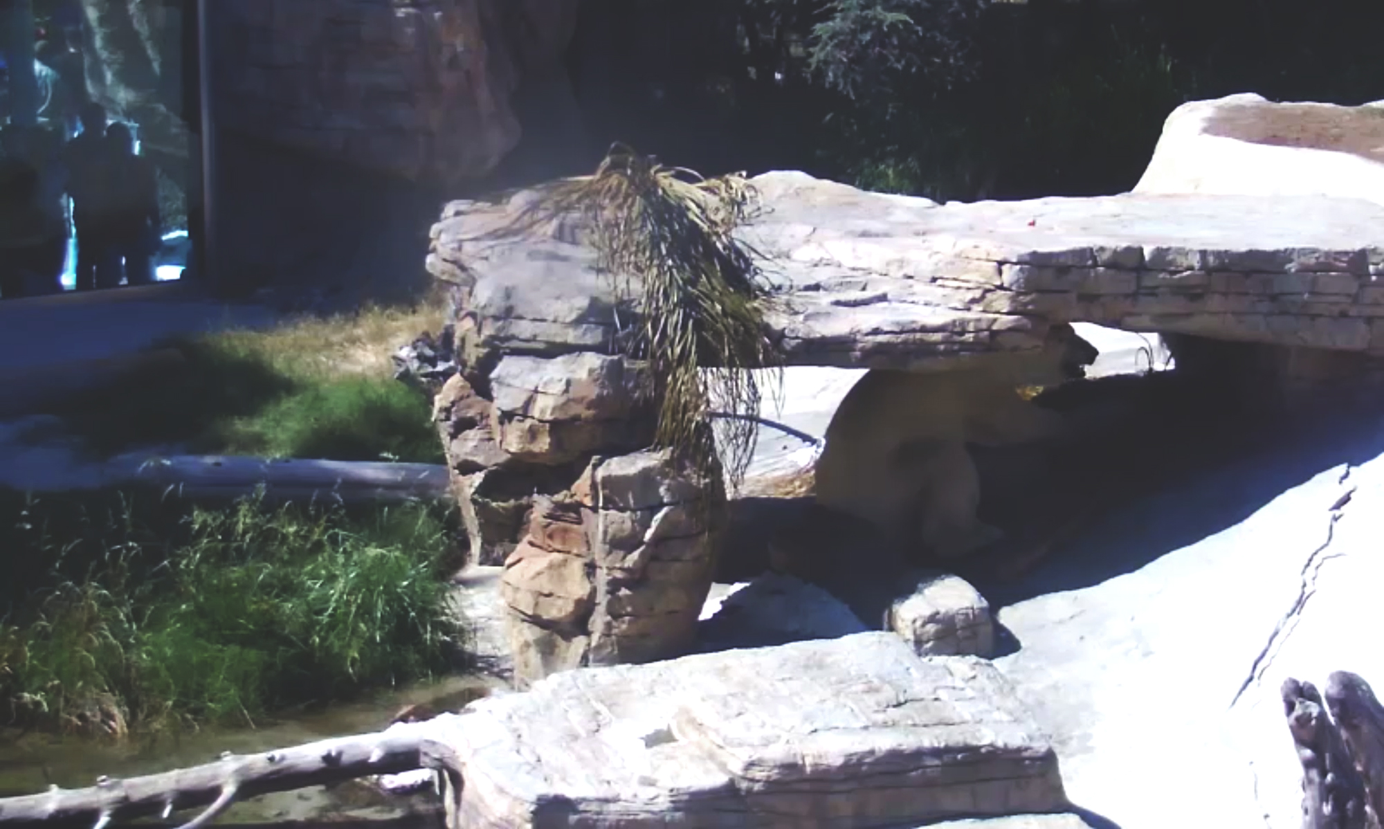San Diego Zoo Safari Park, June 22, 2015.