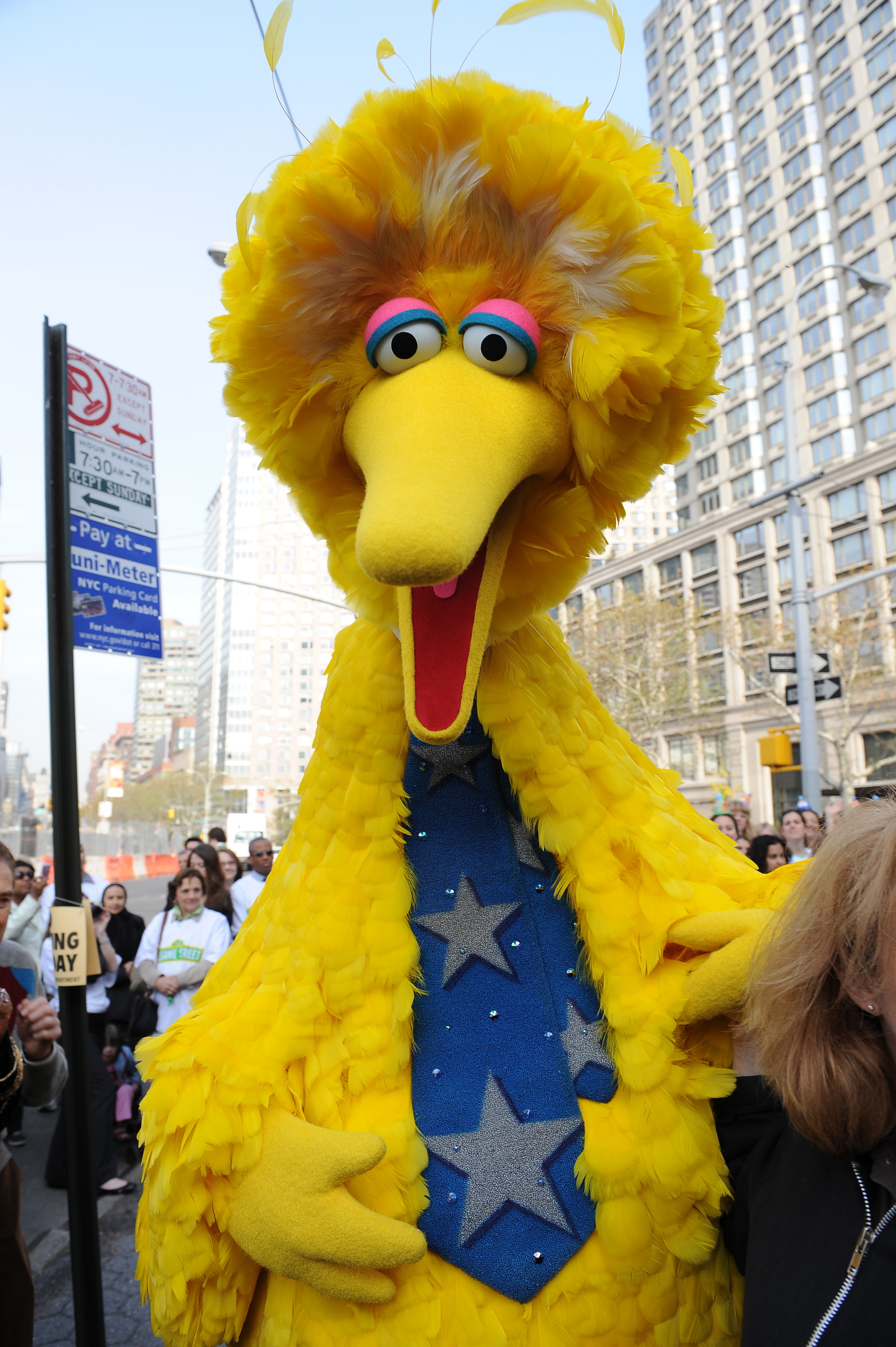 Sesame Street's Big Bird character in New York on Nov. 9, 2009.