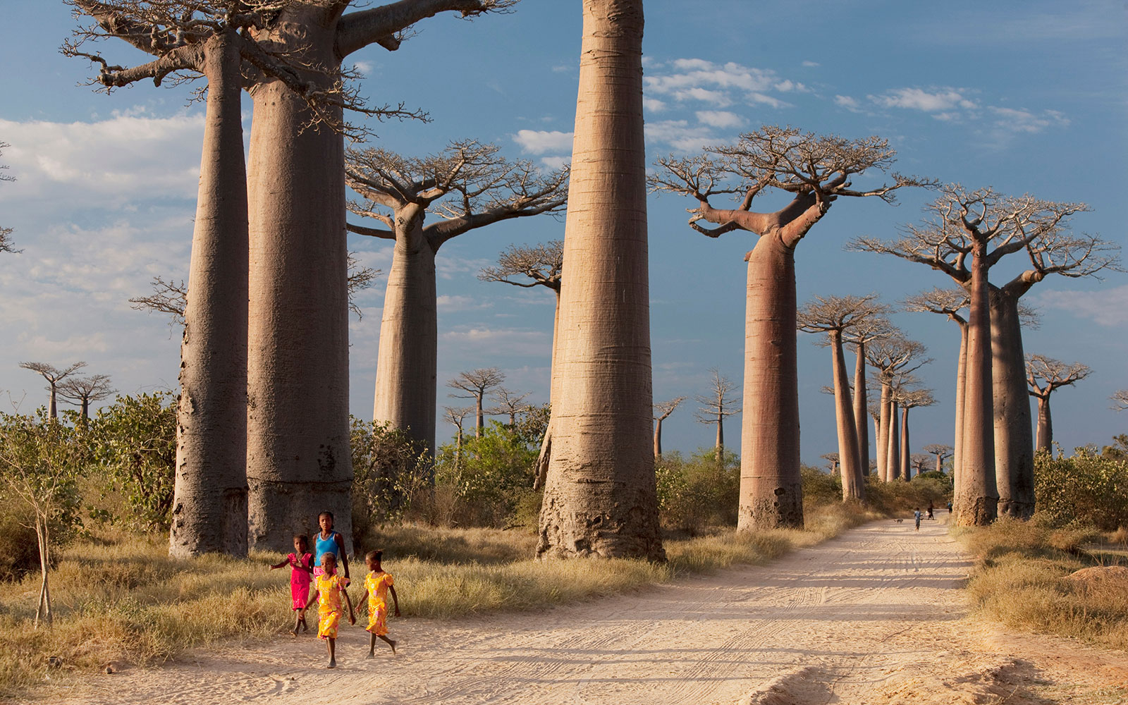 A group of young girls walk through Avenue of the Baobabs, near Morondava, Madagascar
