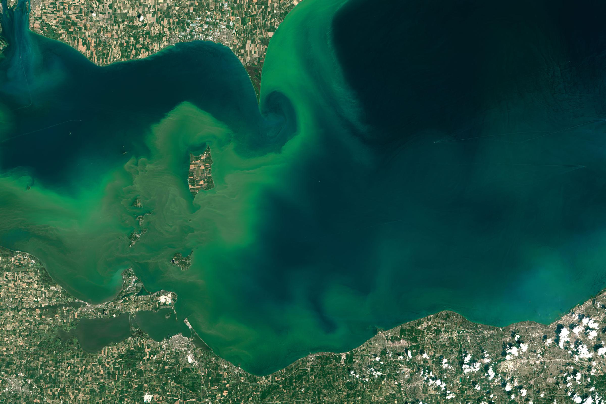 Lake Erie Algal Blooms