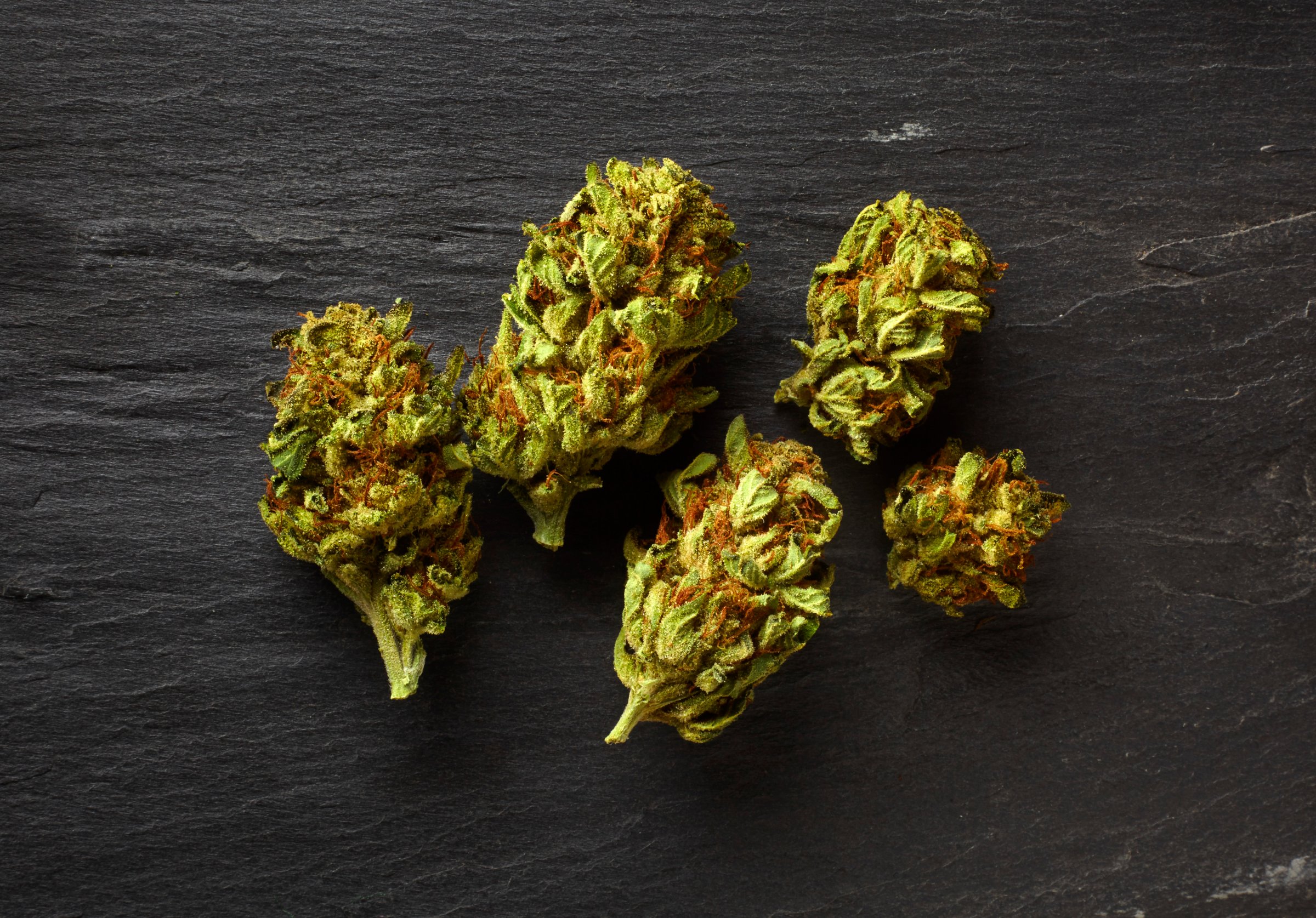 Medical marijuana on table