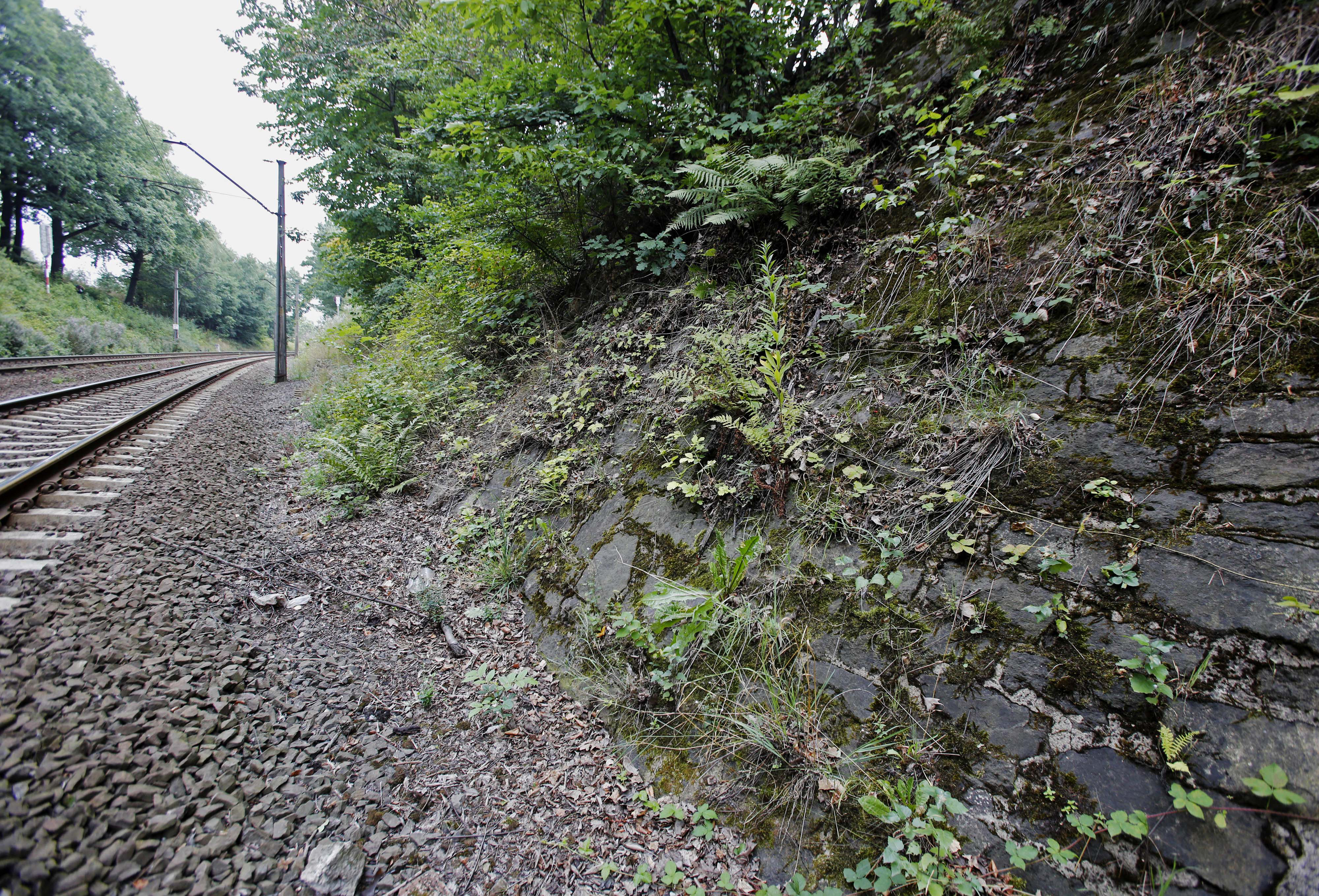 The potential site where a Nazi gold train is believed to be hidden, near the city of Walbrzych, Poland, on Aug. 28, 2015. (AP)