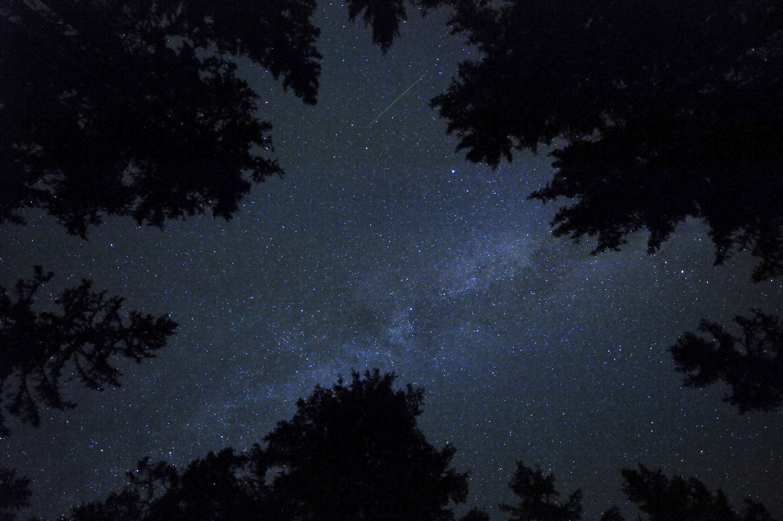 The Perseid meteor shower over Rogla, Slovenia on Aug. 13, 2015.