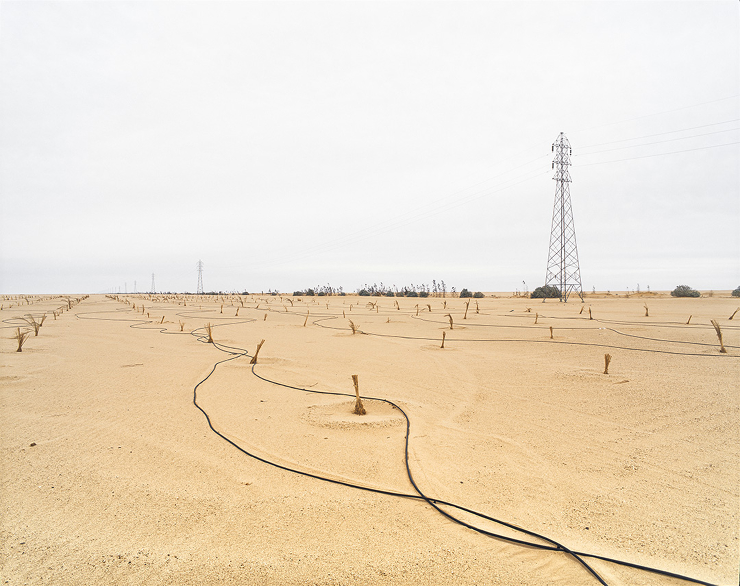 Abandonned Gaddafi green barrier project. Murzuk, Southern Libya, March 2015.