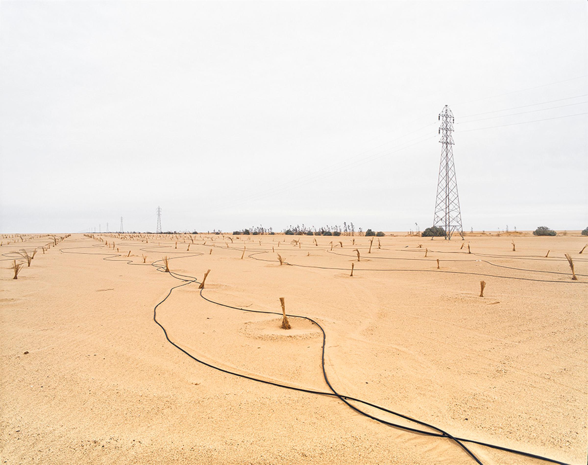 Murzuk, Southern Libya, March 2015.Abandonned Khadafi green barrier project.