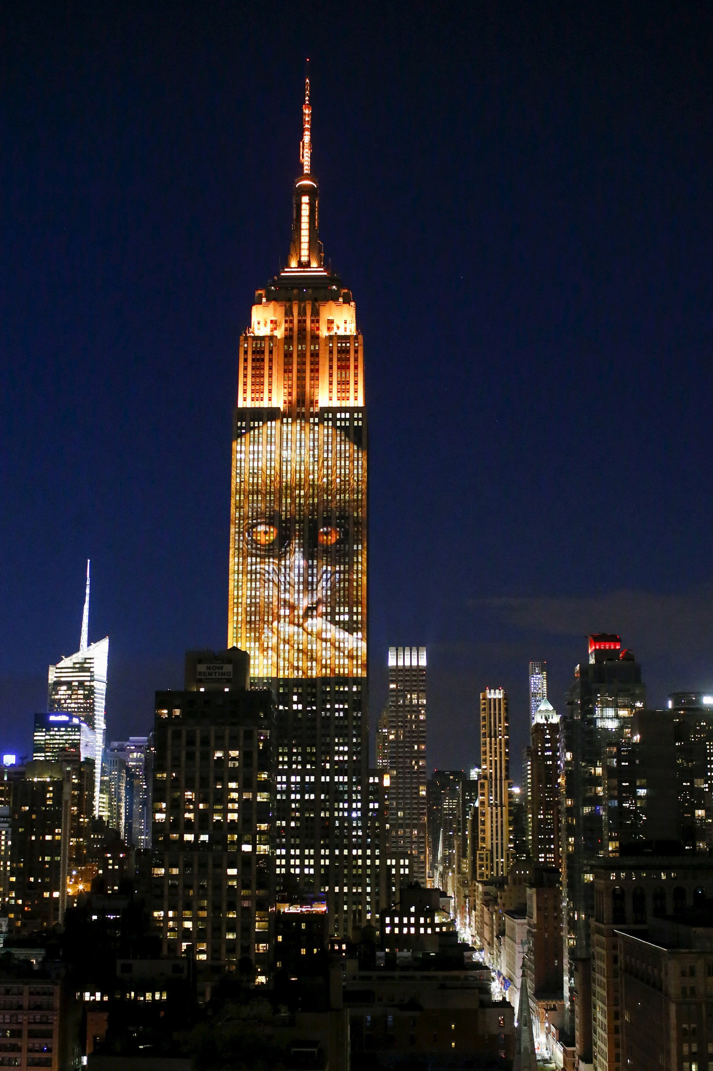 Large images of endangered species are projected on the south facade of The Empire State Building on Aug. 1, 2015, in New York City.