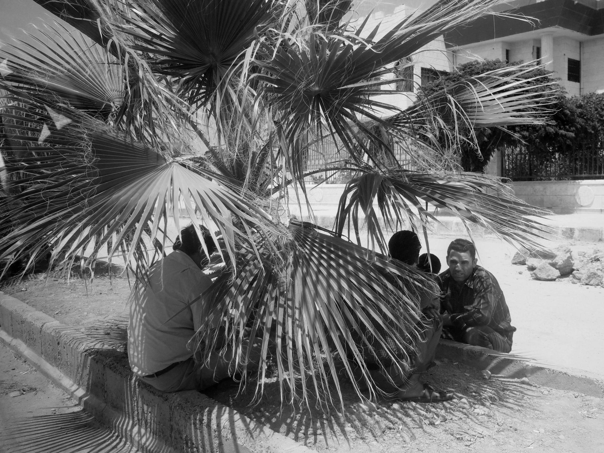 Tal Abyad, Syria. August 8, 2015.Men seek shade under a palm tree in the former Islamic State stronghold of Tal Abyad, re-captured by the Kurdish YPG militia in June of this year.(Photo by Moises Saman/MAGNUM)