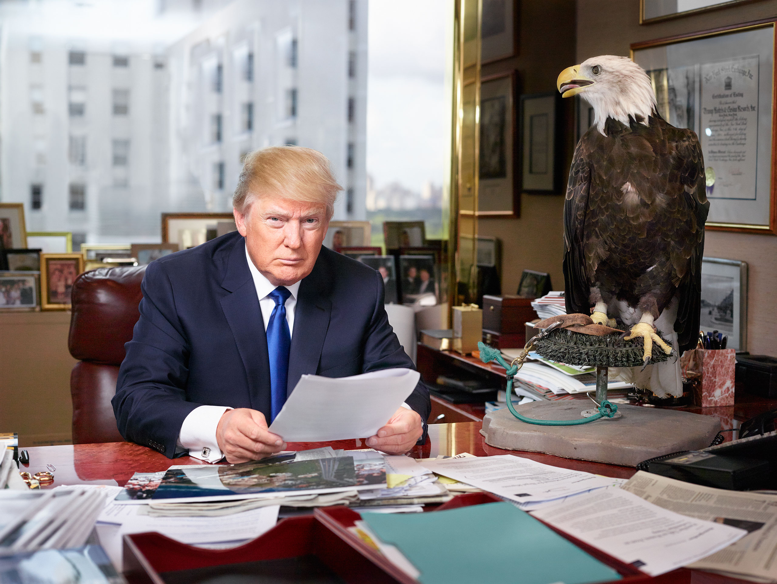 The Republican front runner in his corner office on the 25th floor of Trump Tower in New York City, photographed with a bald eagle named Uncle Sam. From  The Donald Has Landed.  August 31, 2015 issue.