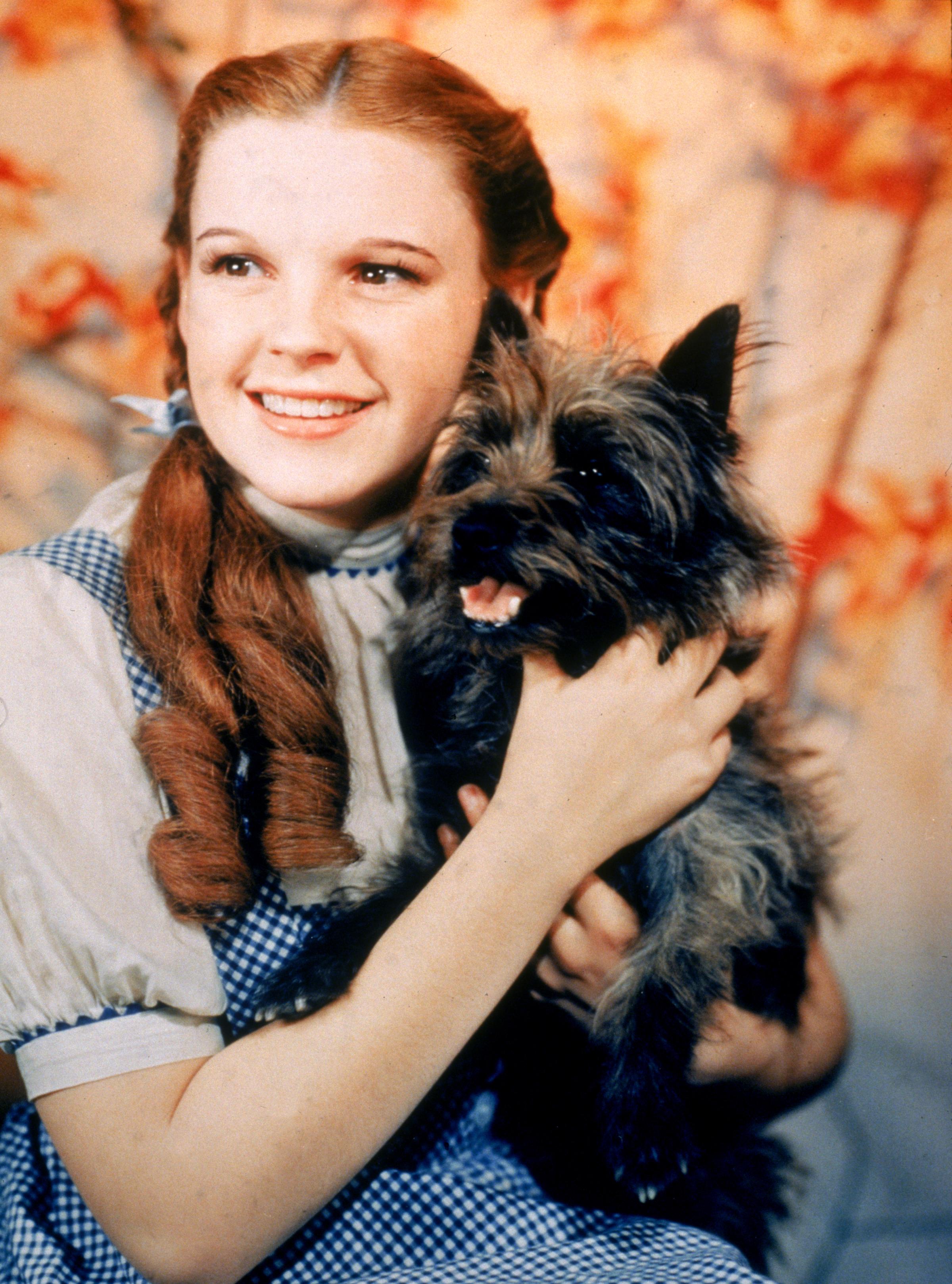 Most Famous Dogs - Toto