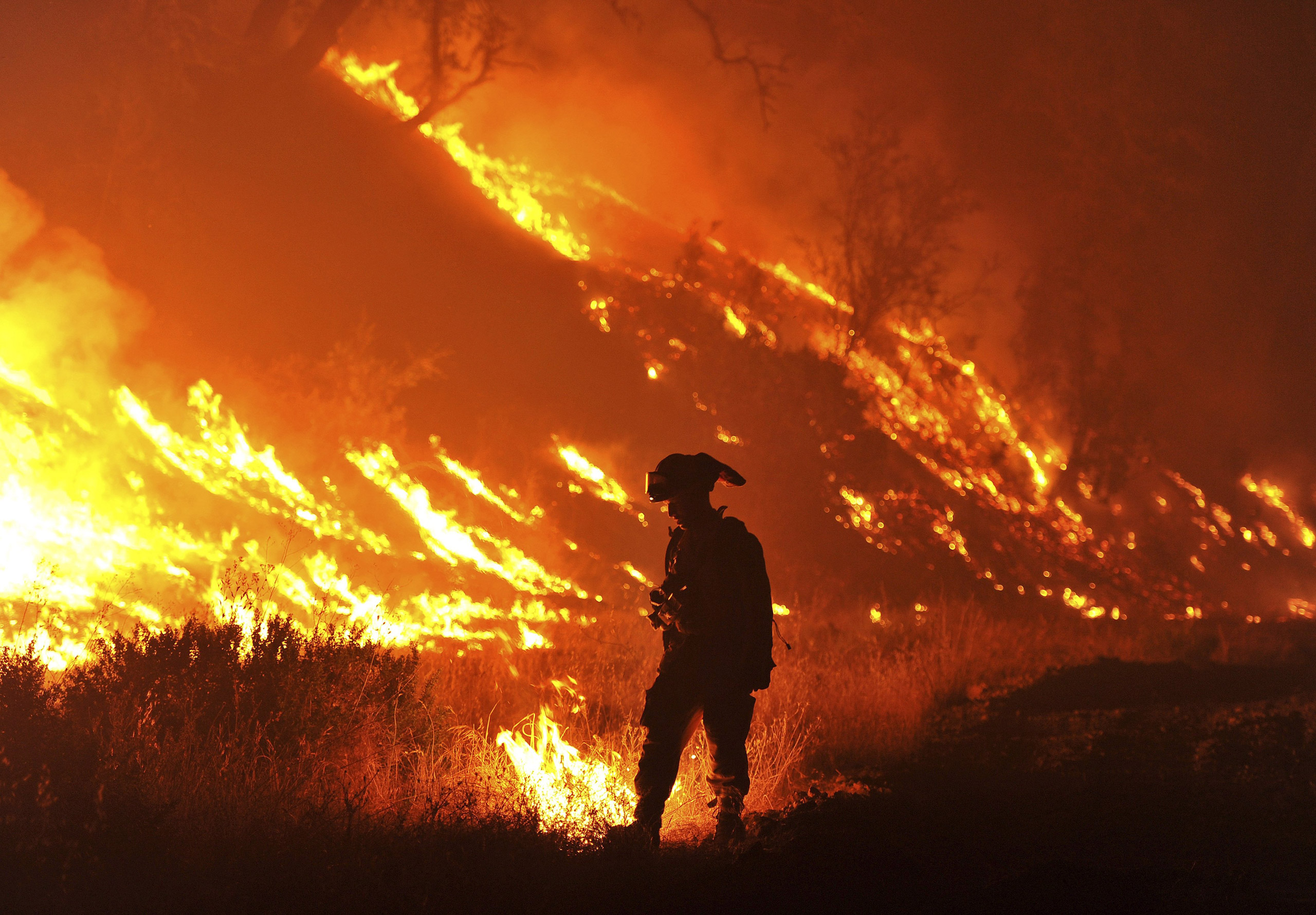 CalFire firefighter Bo Santiago lights a backfire as the Rocky fire burns near Clearlake, Calif., on Aug. 3, 2015. (Josh Edelson—AP)