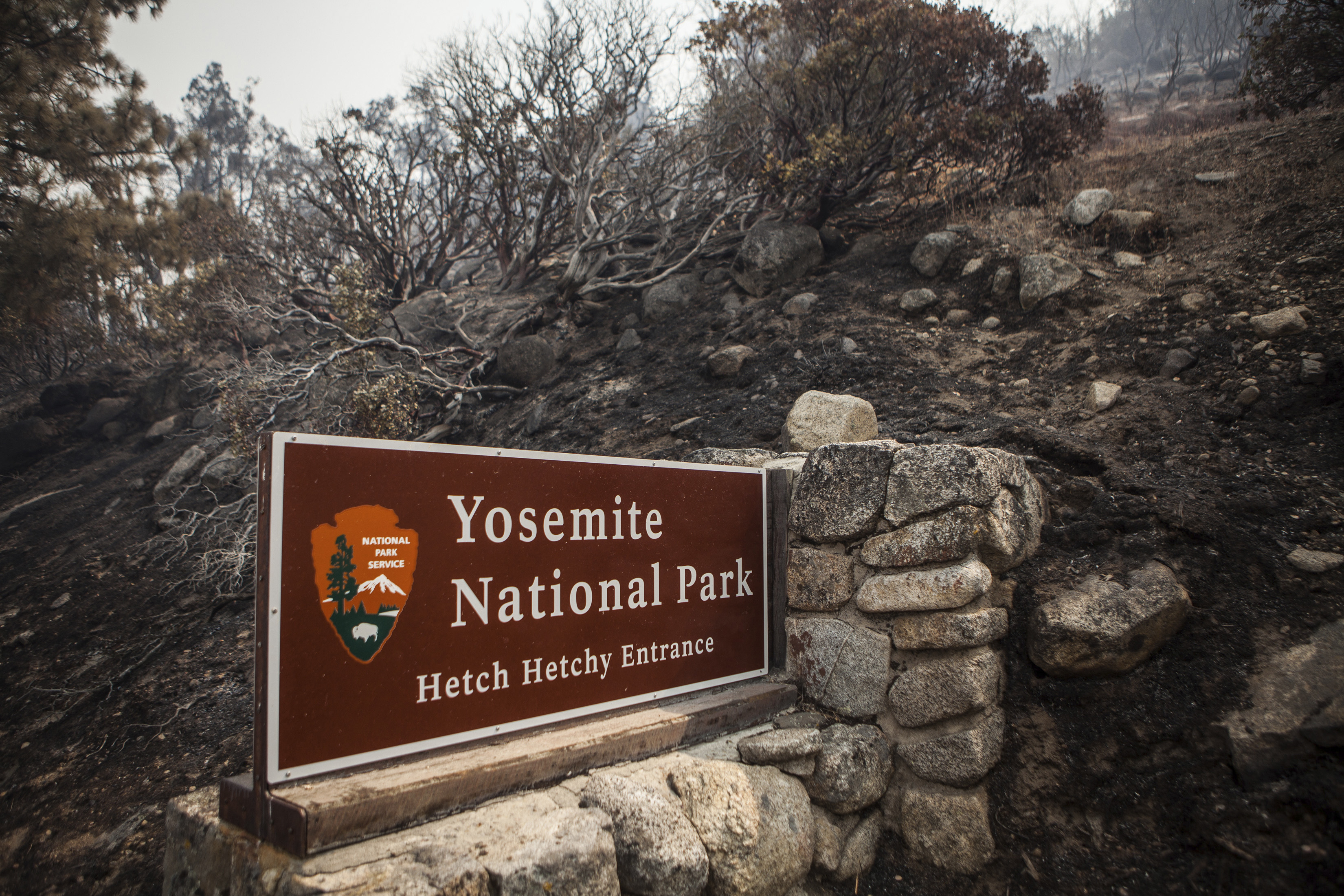 A sign on the edge of Yosemite National Park, Calif., is surrounded by a burn from the Rim Fire on August 23, 2013. (Max Whittaker—Reuters)