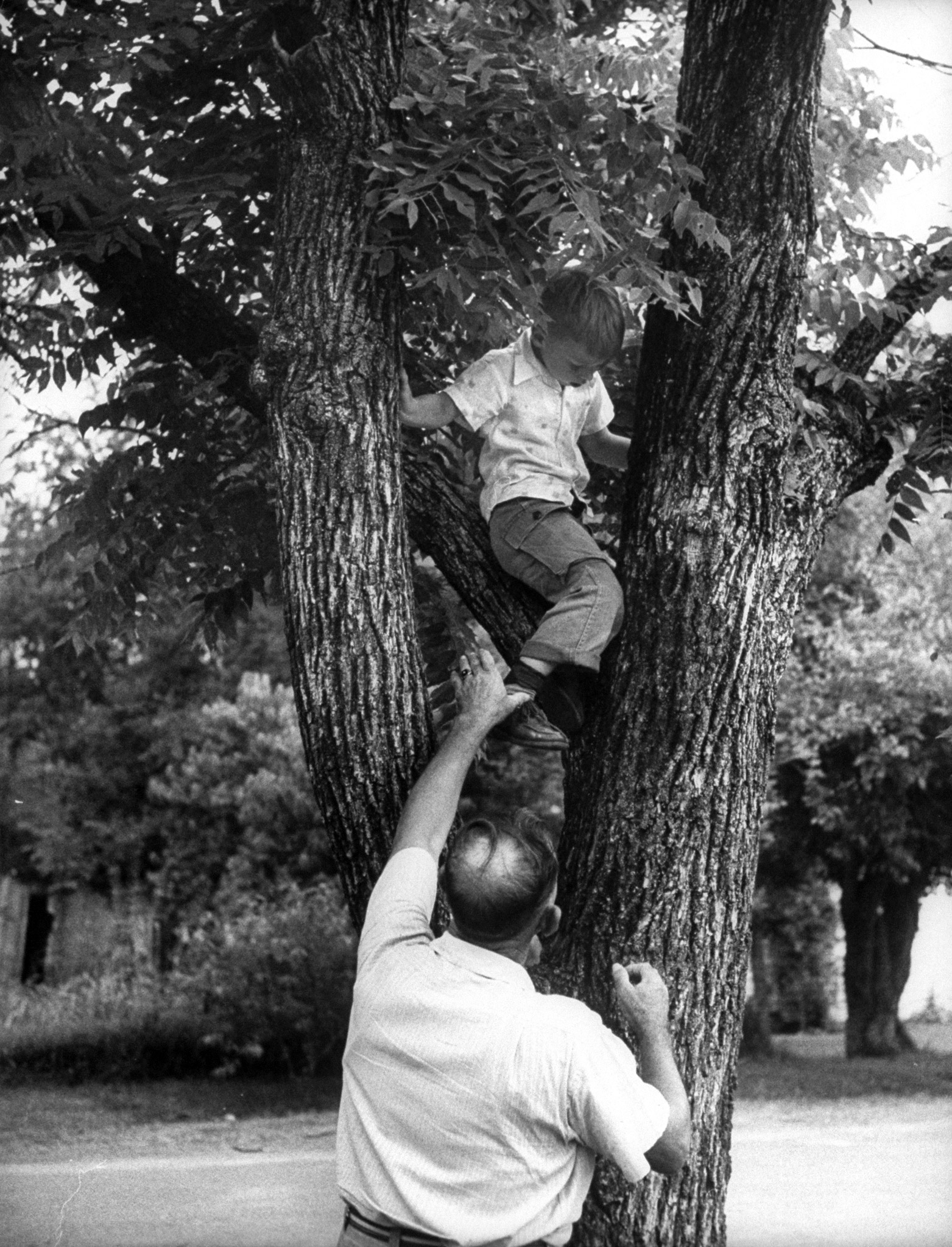 Billy Conner and his grandfather William climbing a tree.