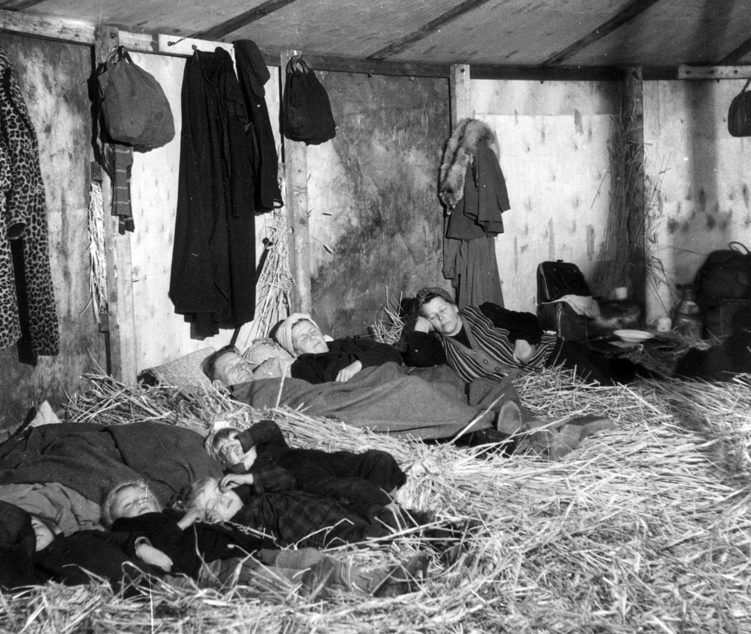 25th October 1945: German refugees fleeing from the Russian zone in the first few weeks after the end of World War II in Europe. They are sleeping on straw in a makeshift transit camp at Uelzen in the British zone of Germany.